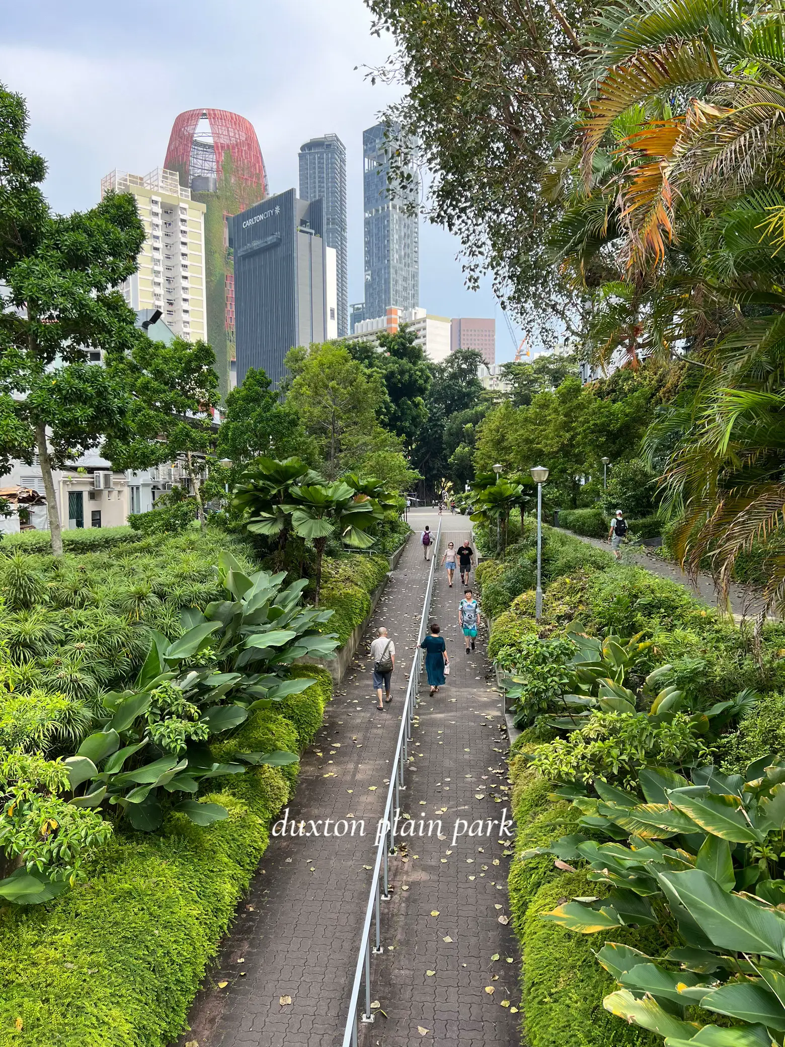 a plant-filled day in outram ft. vegan food 🍵🐢🥬 | Gallery posted by j ...