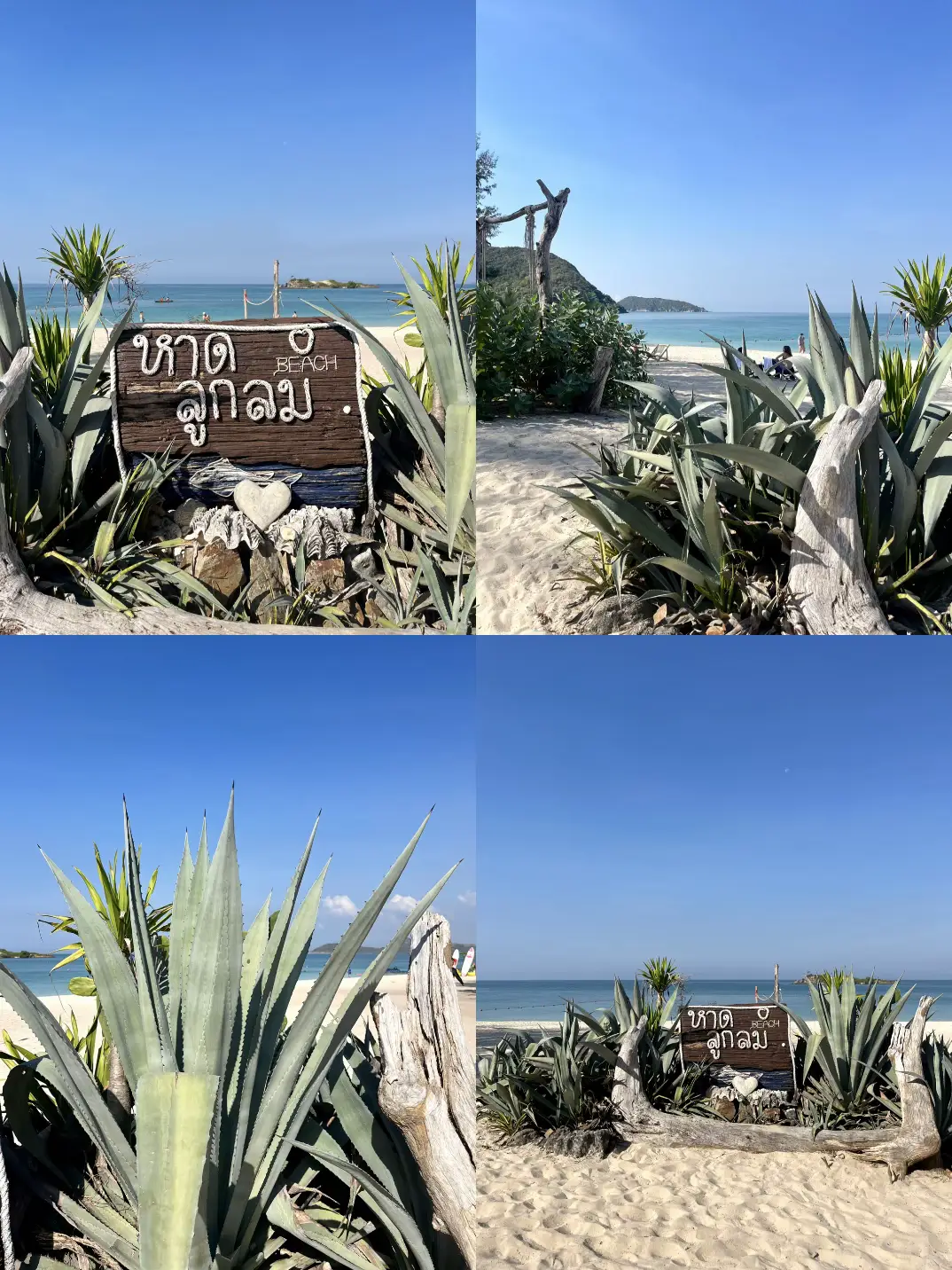 One Day Trip In one-day-trip-in
