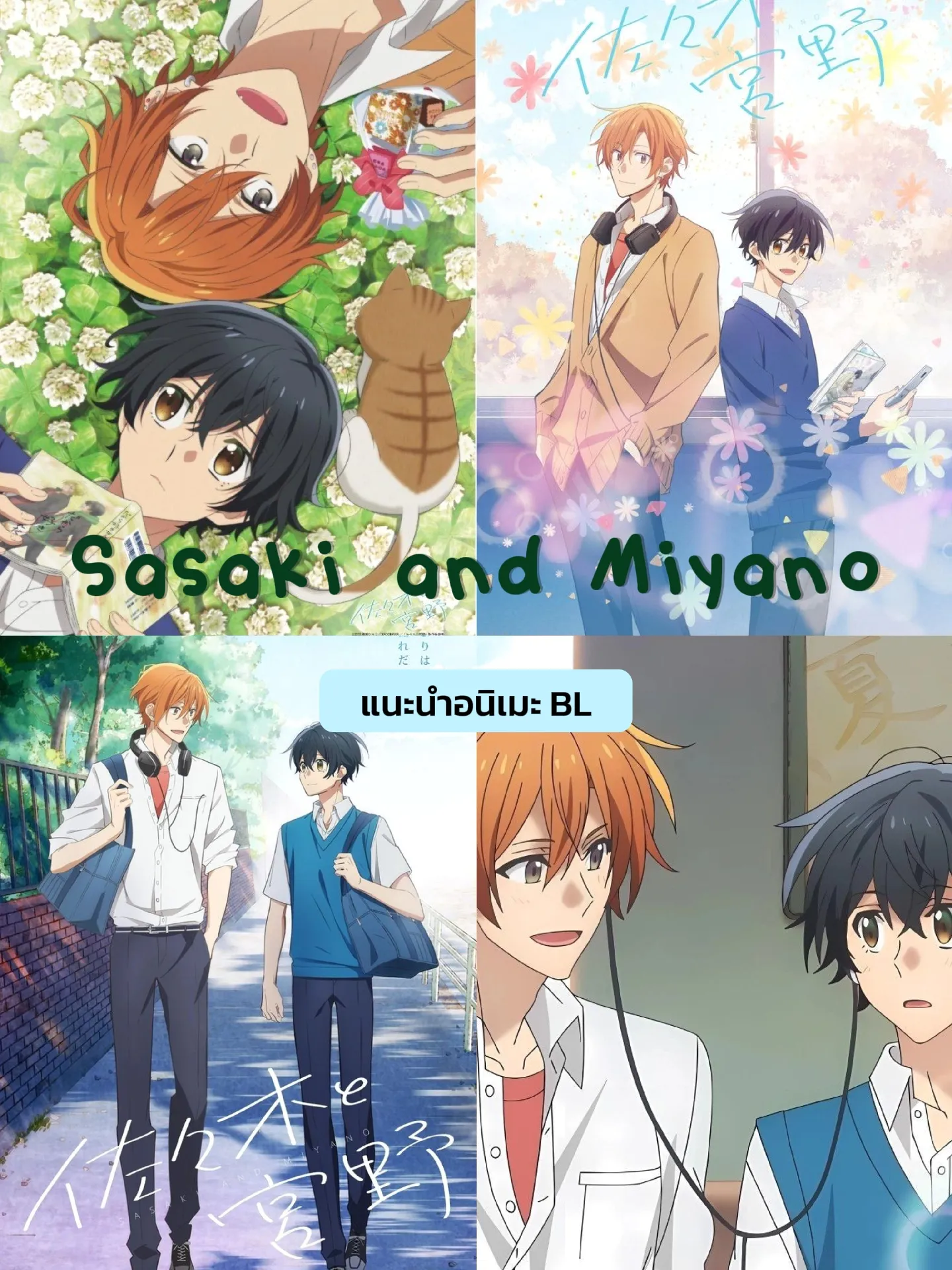 Anime & Manga (Episode 1) ❤ . Anime/Manga Title: Sasaki to Miyano