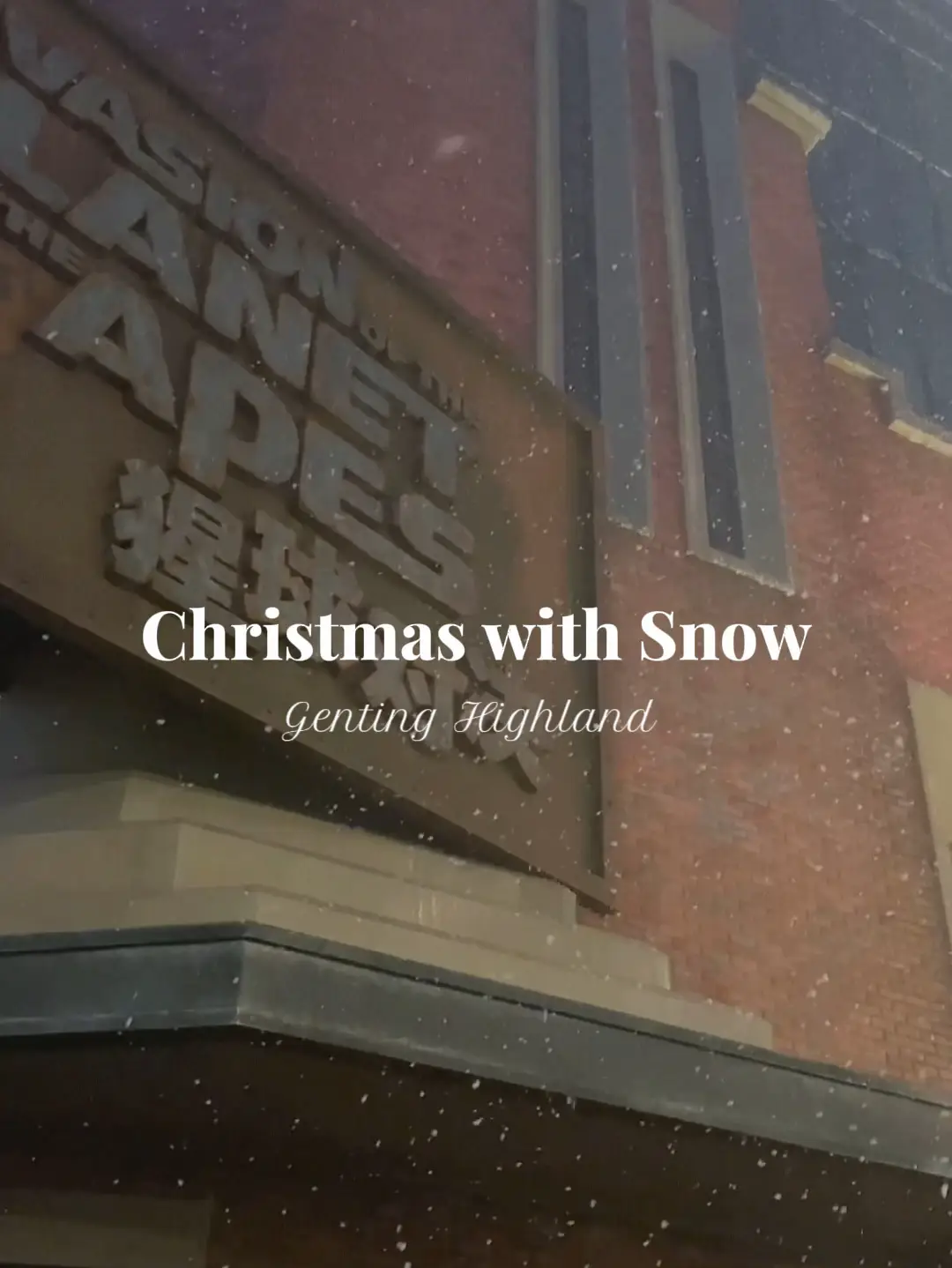 Video count down to christmas