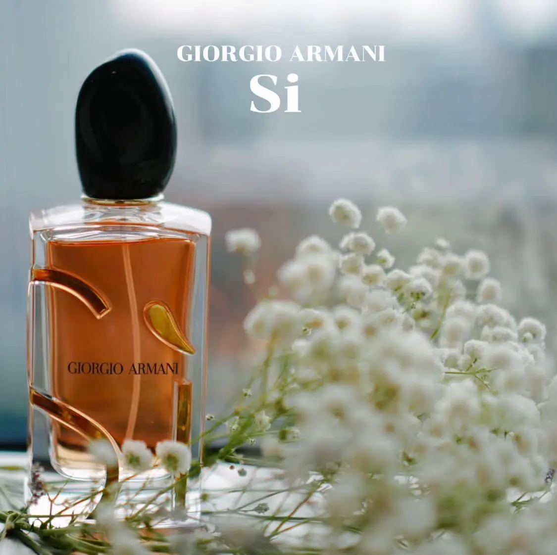 Si Eau de Parfum Intense Best of Concentration Gallery posted