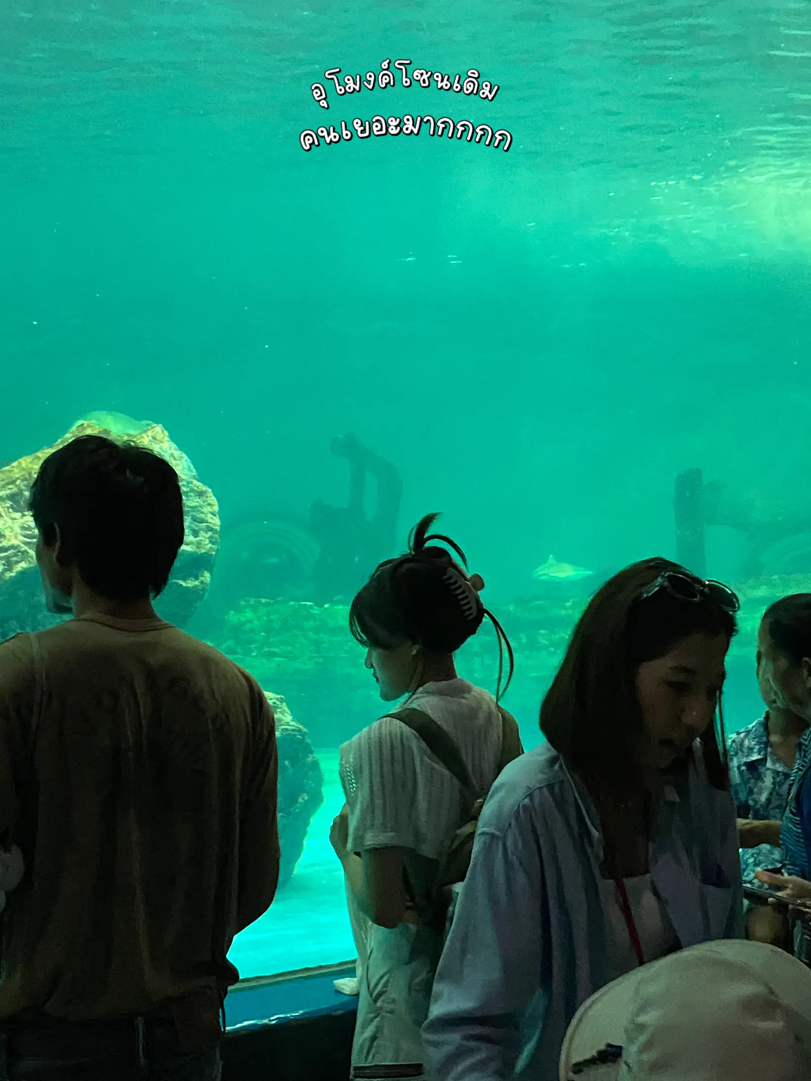 🐠🐡バンセン水族館が新しいゾーンをオープンしました。多くの人々はどこにいますか?！！？😭 | Porporvibes が投稿したフォトブック |  Lemon8