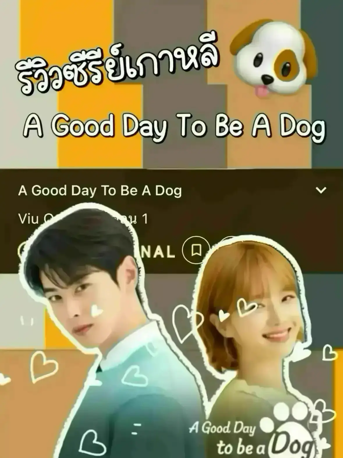 Cha Eun-Woo's A Good Day To Be a Dog Episode 4 Photos Hint at Intimate  Moments