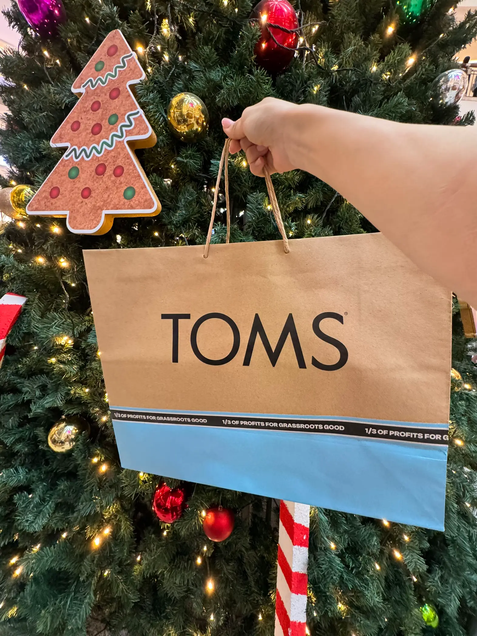 Toms deals shoes klcc