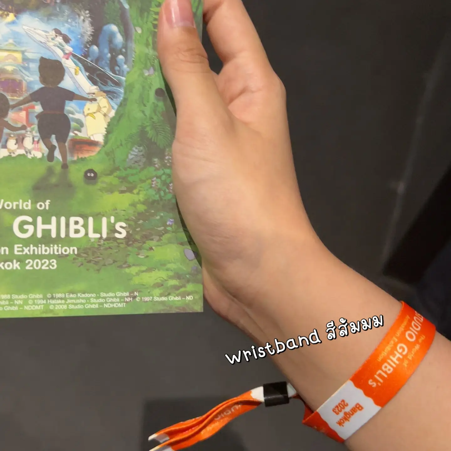 Take the world of studio ghibli, Gallery posted by Wara_Yean