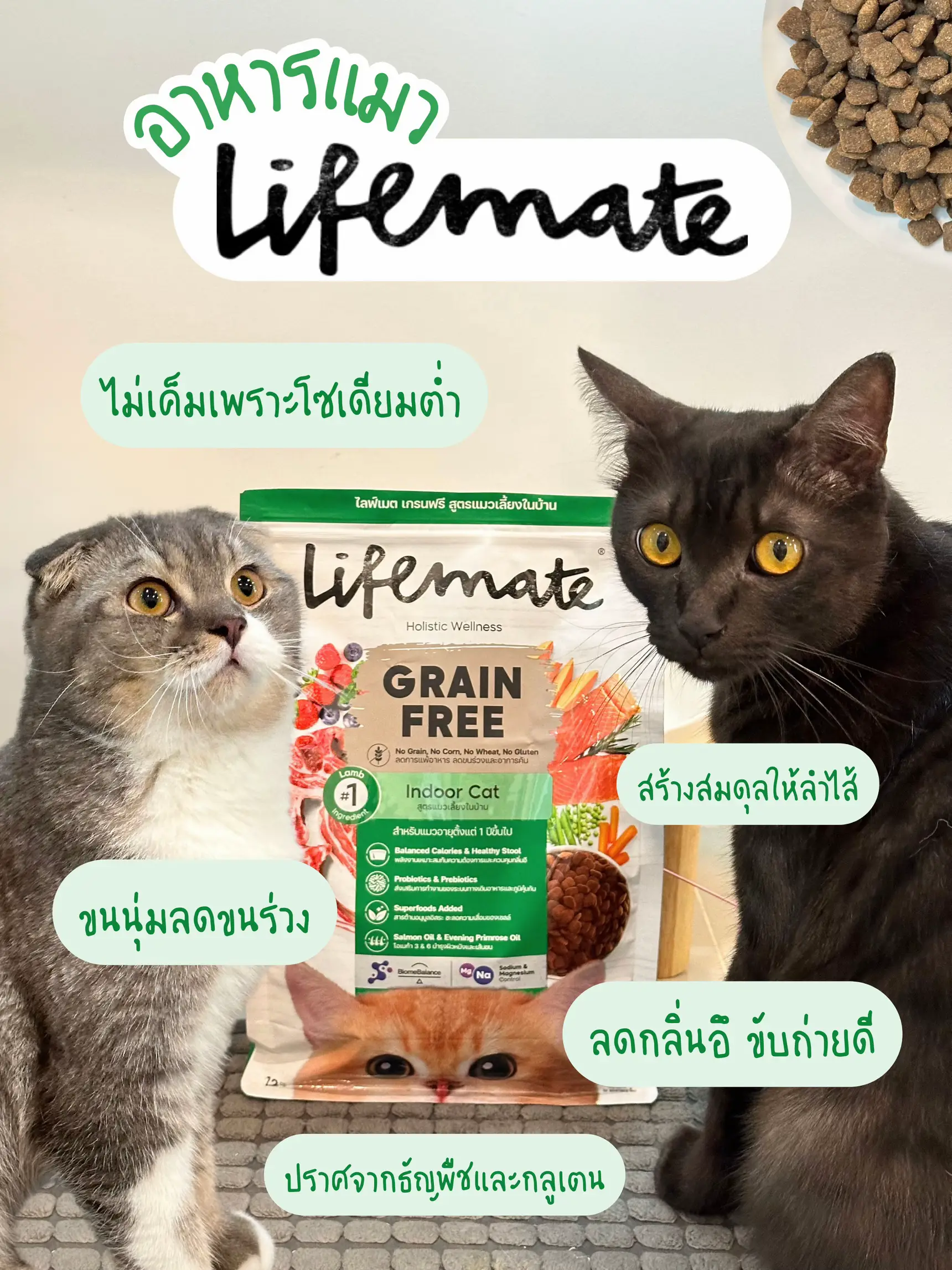 Lifemate cat food is not salty because sodium is low. Beautiful