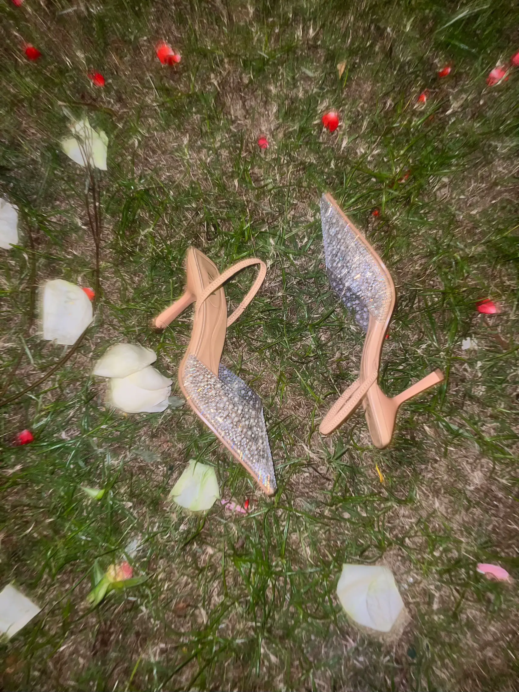 Glitter For Dinner Moment🌝⭐️ แกลเลอรีที่โพสต์โดย trongmalila Lemon8