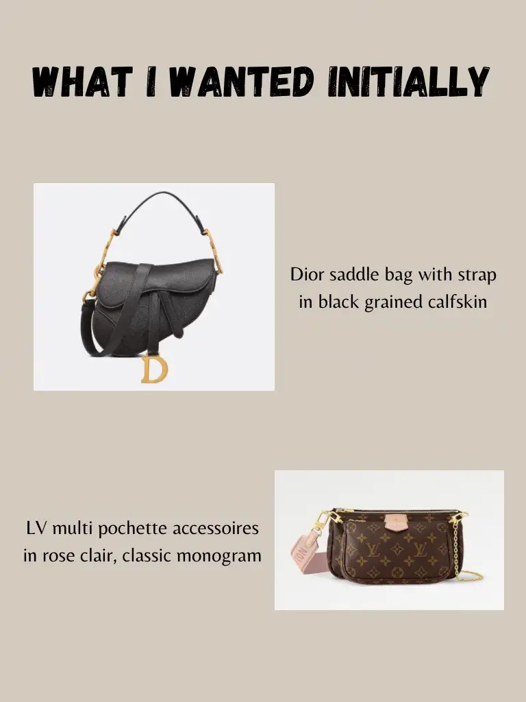 LV multi pochette  Lv multi pochette, Dior saddle bag, Dior bag