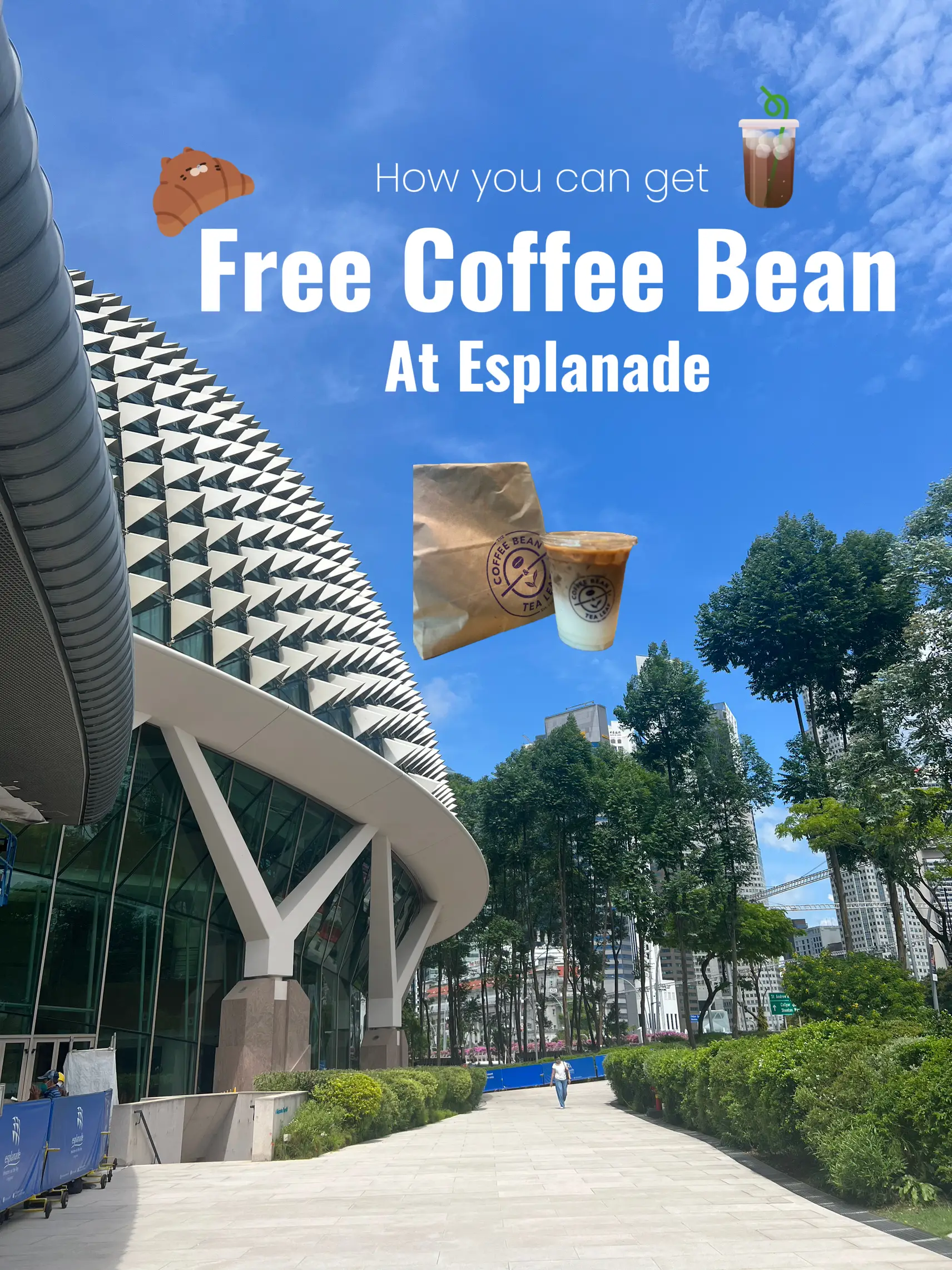 Free Coffee Bean at Esplanade Gallery posted by ashen Lemon8