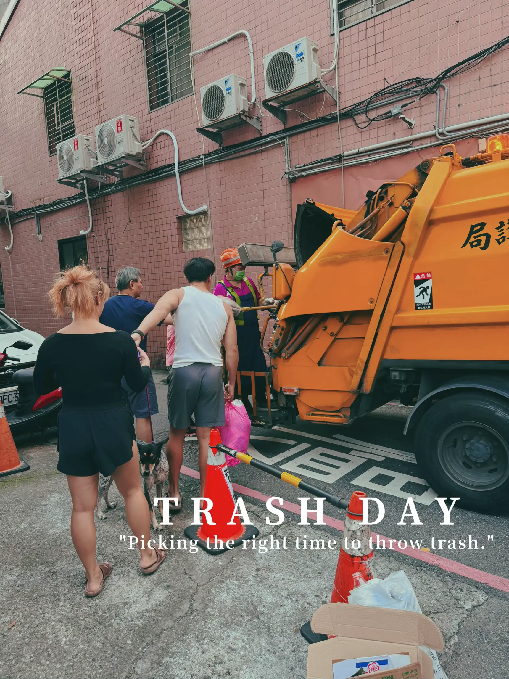Catch the right time to throw Trash!'s images
