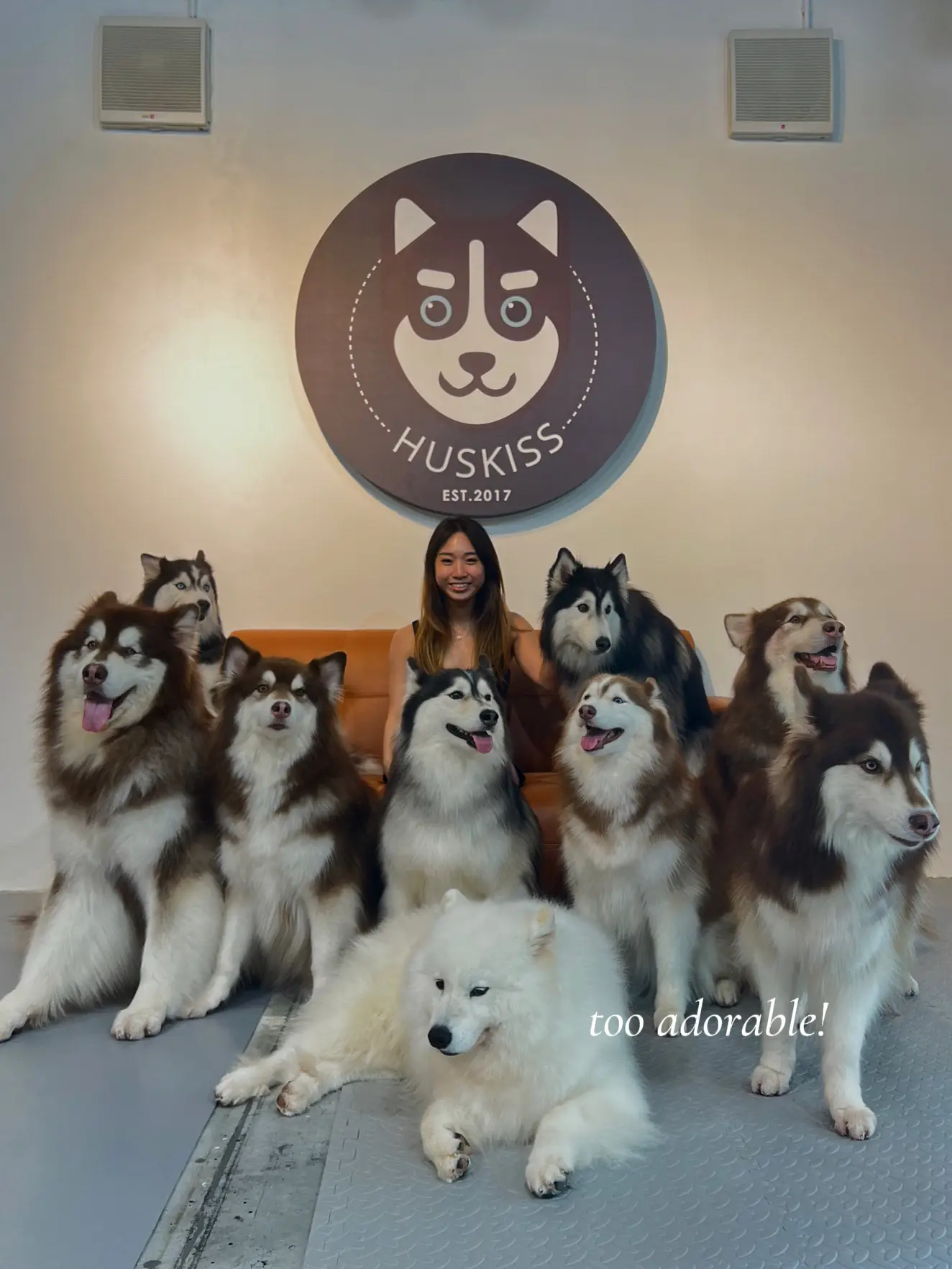 Your Sign to Visit this Husky Cafe in KL 🐕🐾 | Gallery posted by jingyi🌷 ...