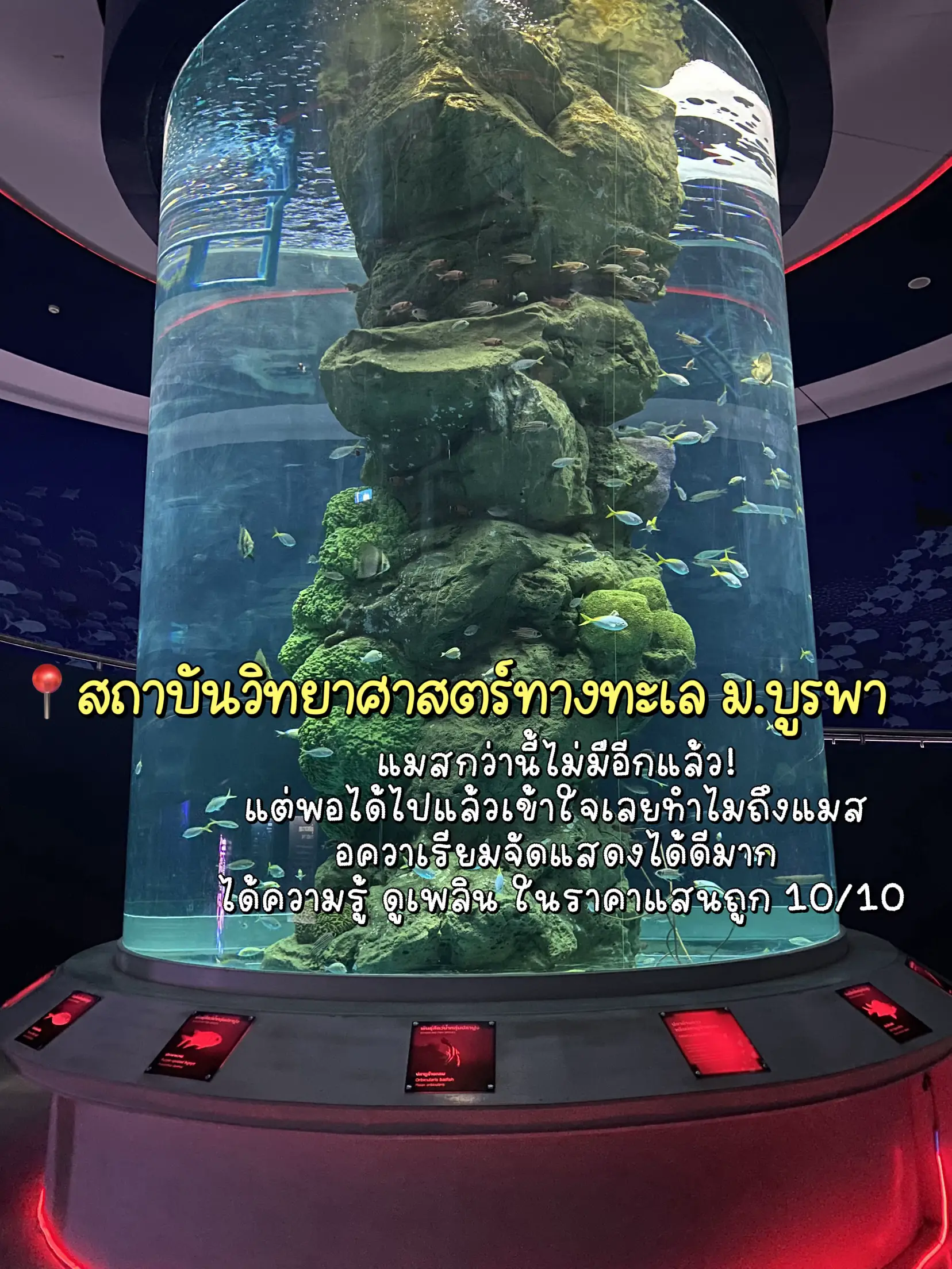 Pin the best trip 📍 Pattaya & Bang Hundred thousand 🌊 Gallery posted