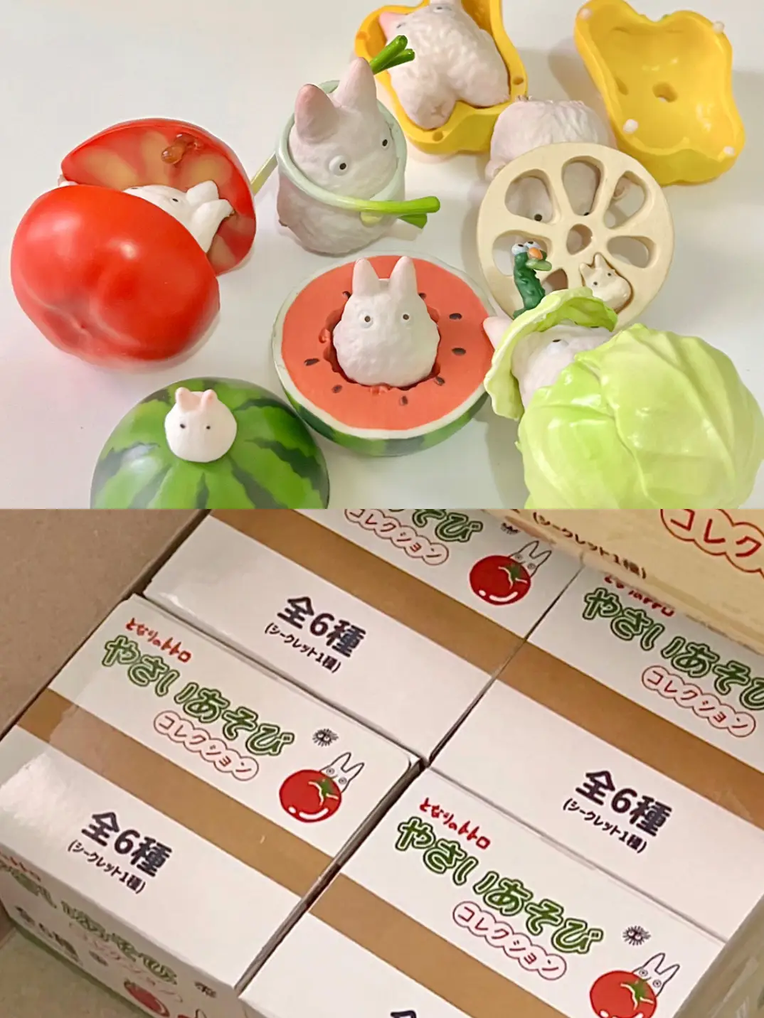 Totoro Fruit and Vegetable 🍅🥗🍉🫑🥕🥬 | Gallery posted by Pandapetch |  Lemon8