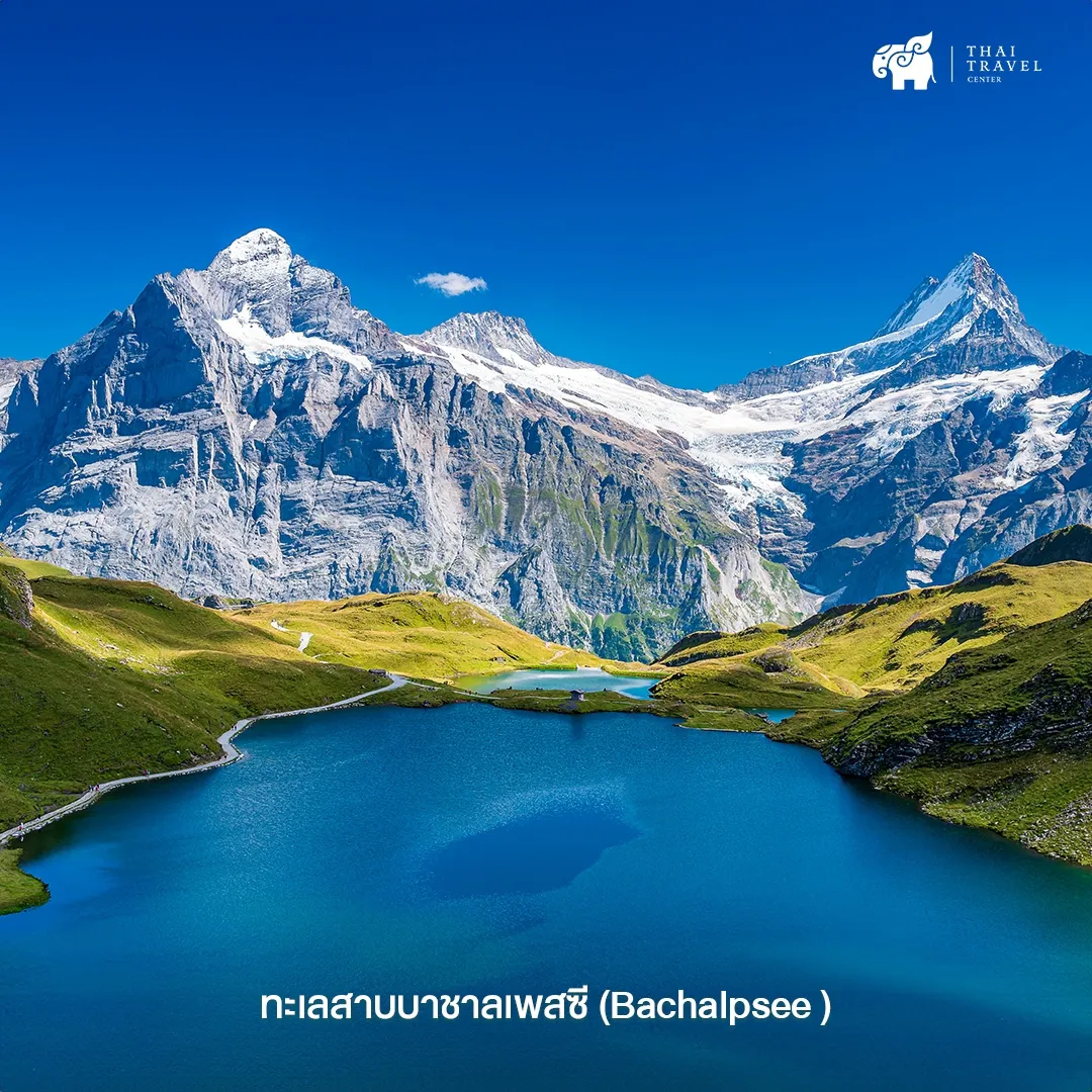 ️☃️ Fly straight down to Switzerland. ☃️ ️ Gallery posted by