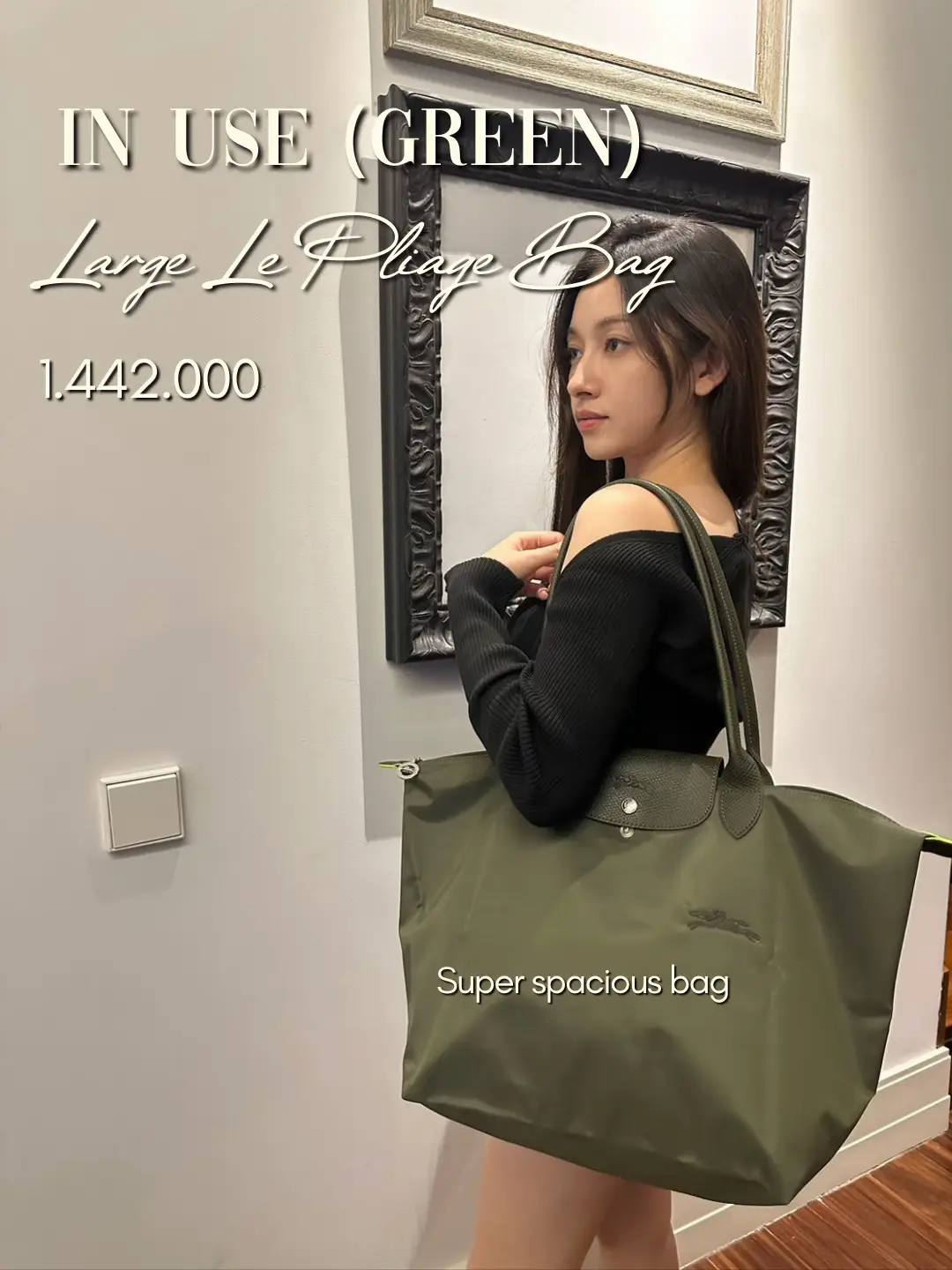 Longchamp Large Le Pliage Bag Gallery posted by Regienashael Lemon8