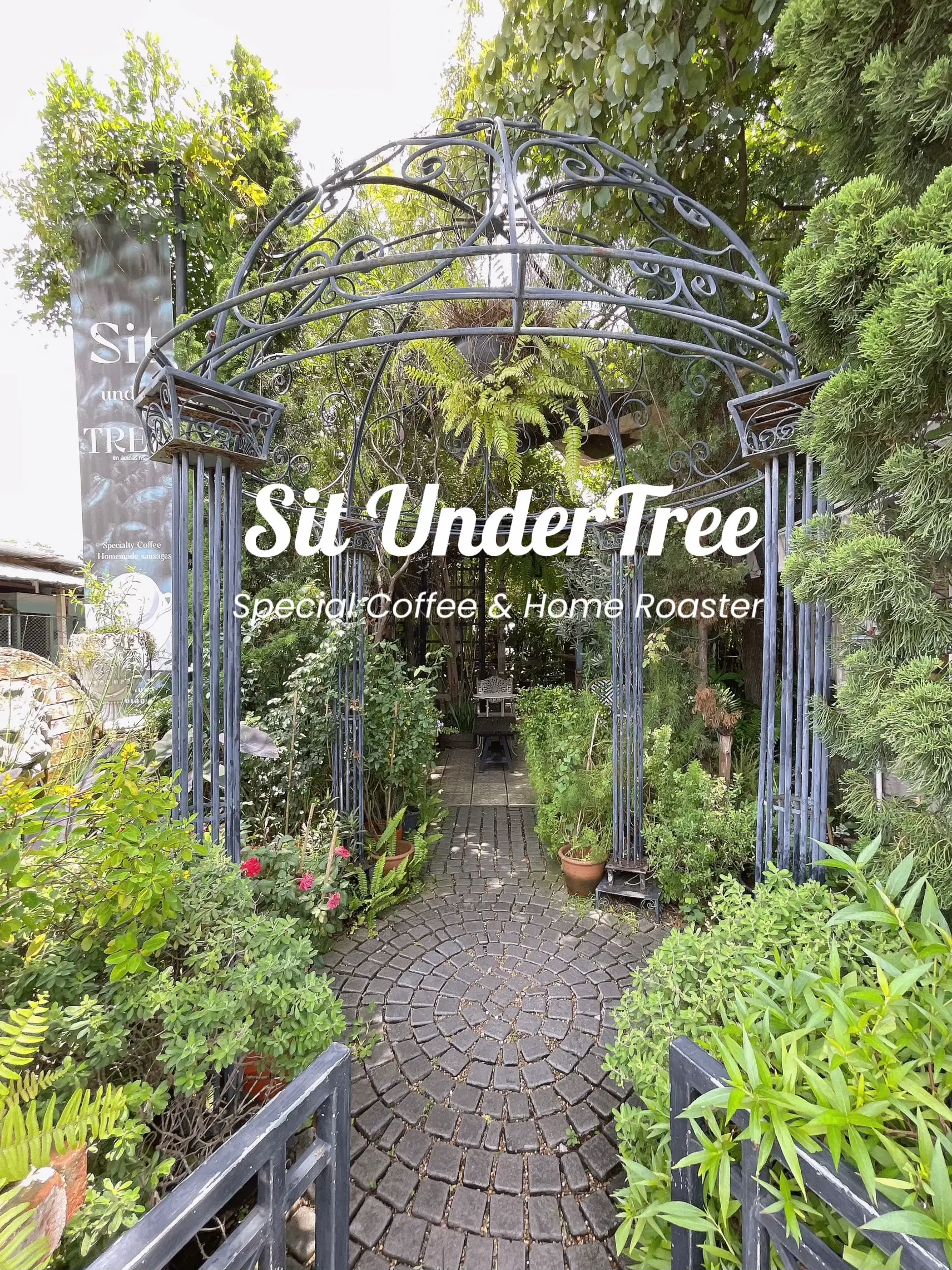 Sit Under Tree - ร้านกาแฟสไตล์สวนชนบทอังกฤษ 🏡🌿 