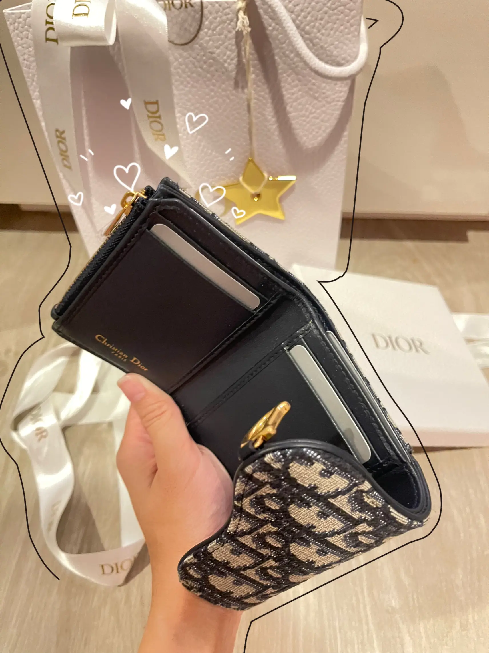 Dior mini best sale saddle wallet