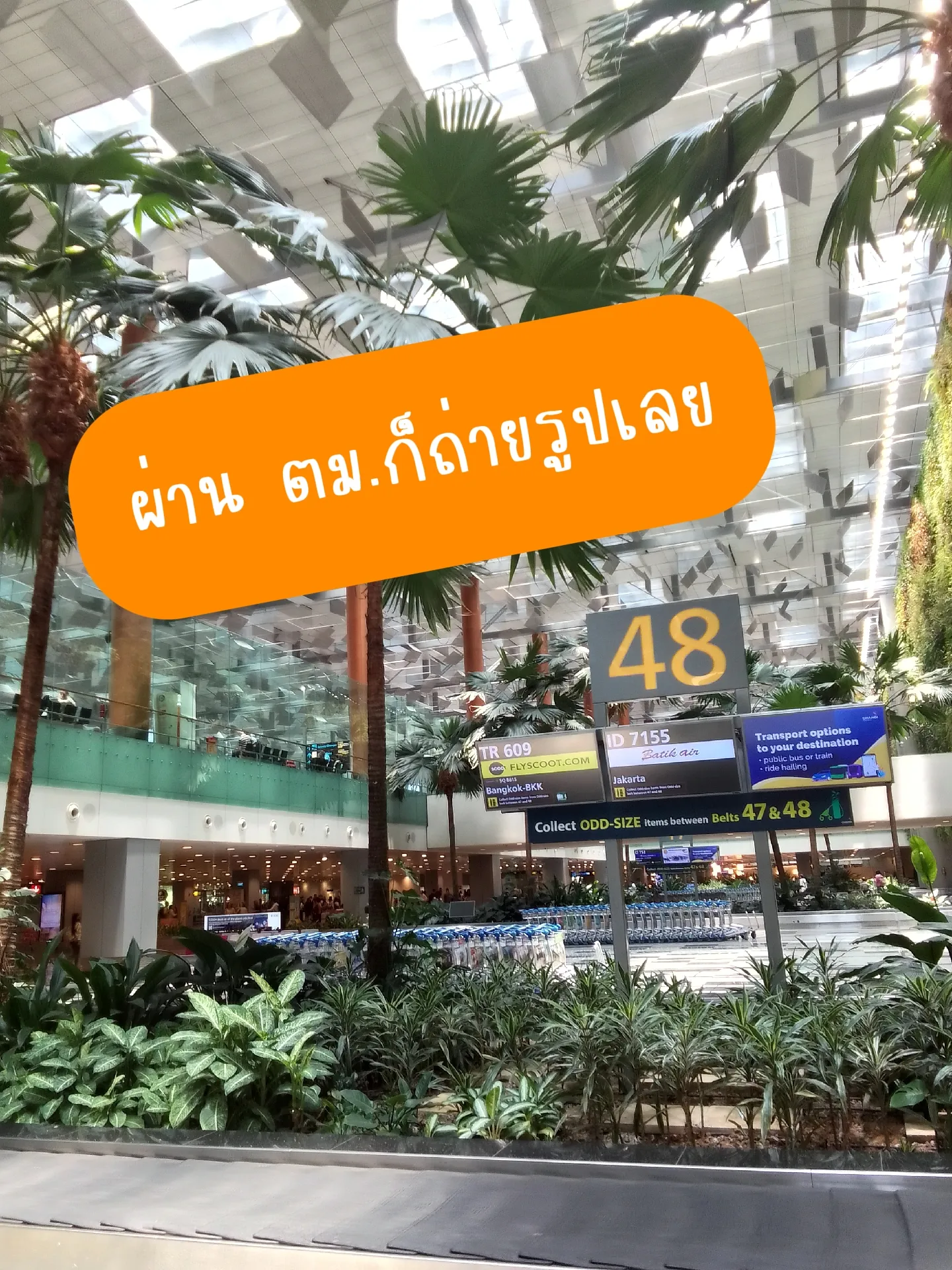 シンガポール旅行(初めて) | แม่หมอพีพีจ้าが投稿したフォトブック | Lemon8