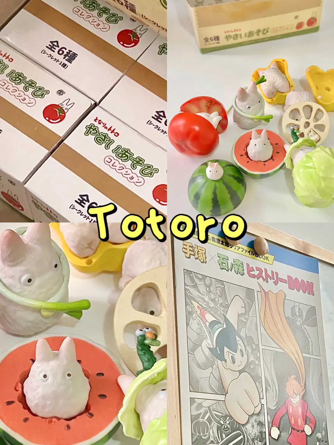 Totoro Fruit and Vegetable 🍅🥗🍉🫑🥕🥬 | Gallery posted by Pandapetch |  Lemon8