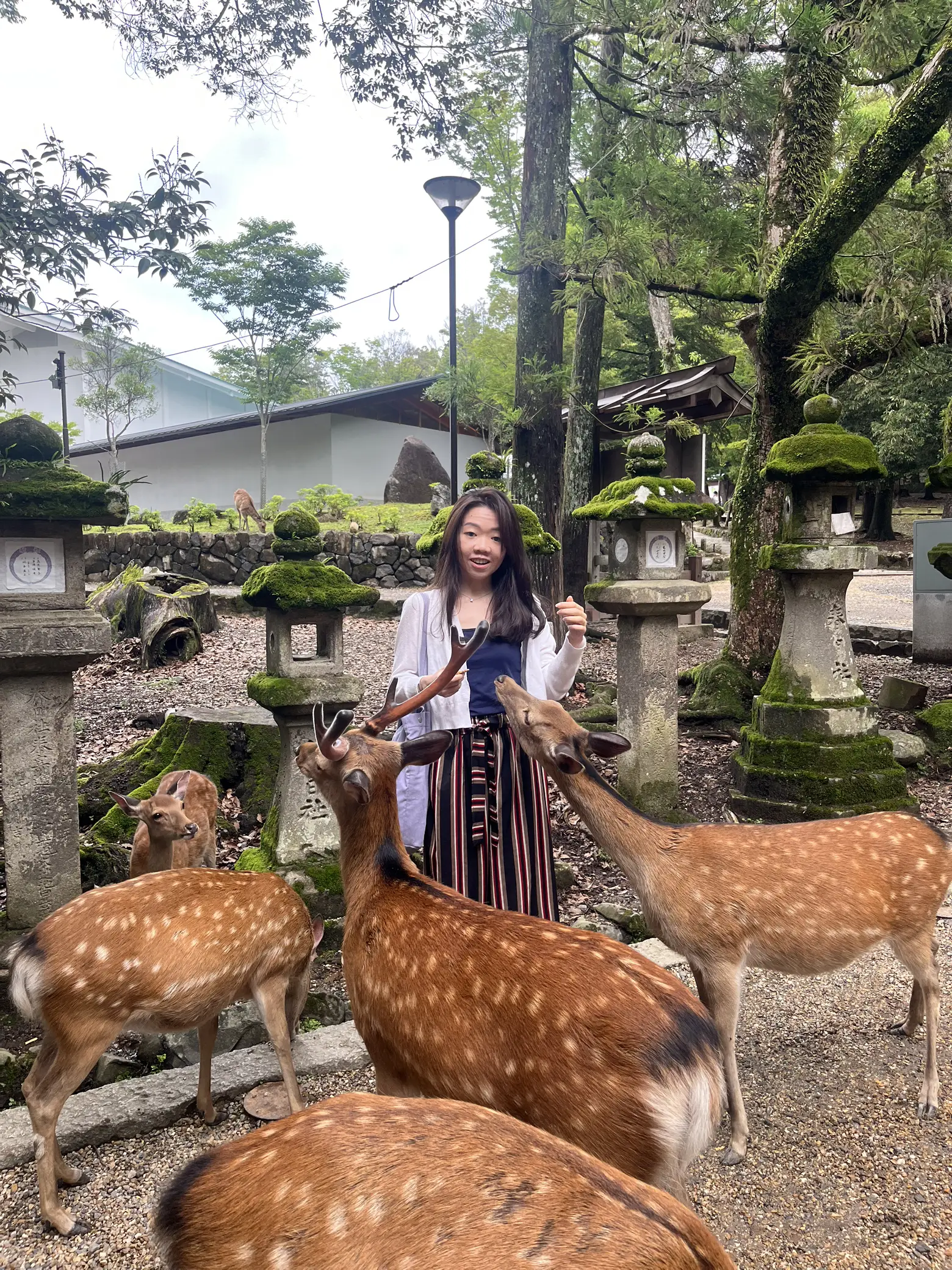 Travel Tips for NARA PARK Getting the best exp Gallery