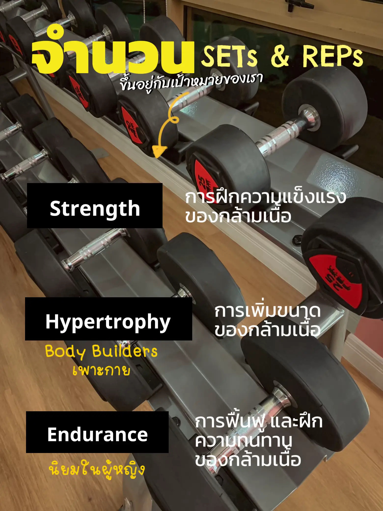 20 ไอเดียยอดนิยมเกี่ยวกับ Muscle Hypertrophy Vs Strength Training ในปี 2024