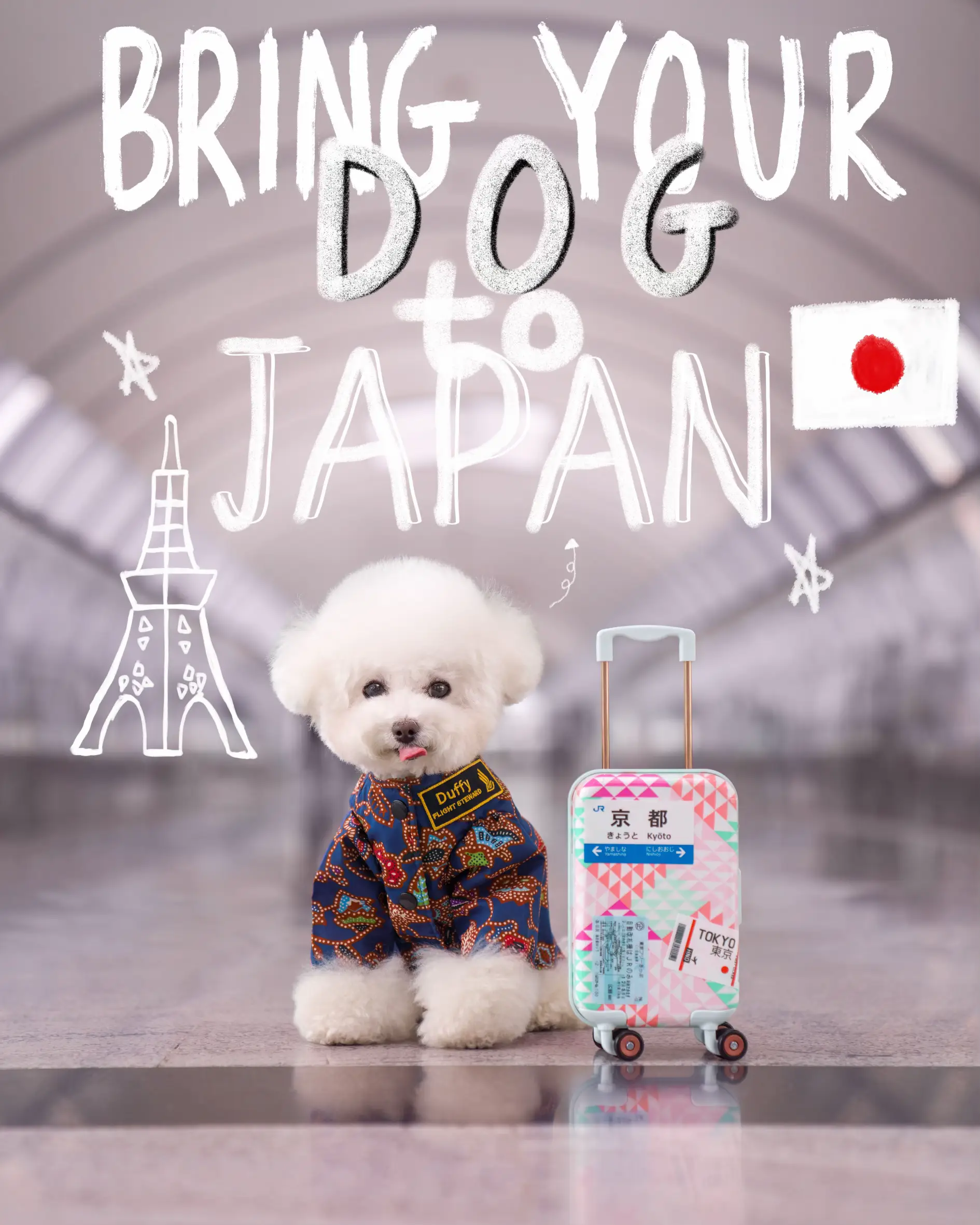 How we brought our dog to JAPAN for 3MONTHS Gallery posted by Eunice