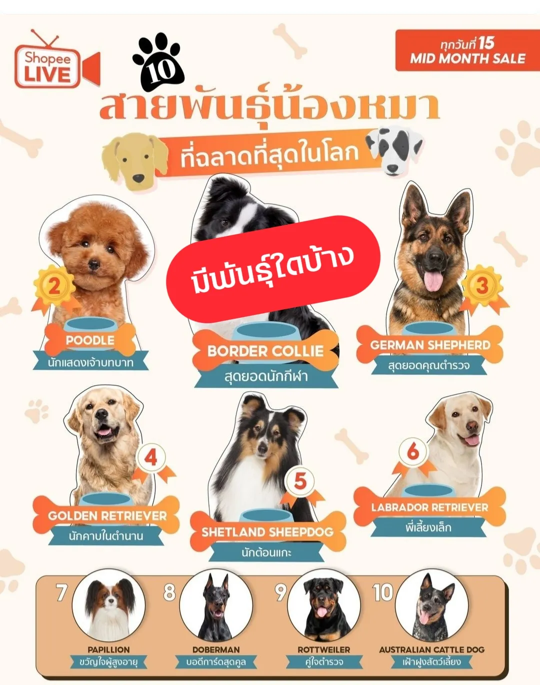 📌ความรู้สัตว์เลี้ยง ทาสหมา ep.02 | แกลเลอรีที่โพสต์โดย พี่แดงมาแบ่งปัน ...