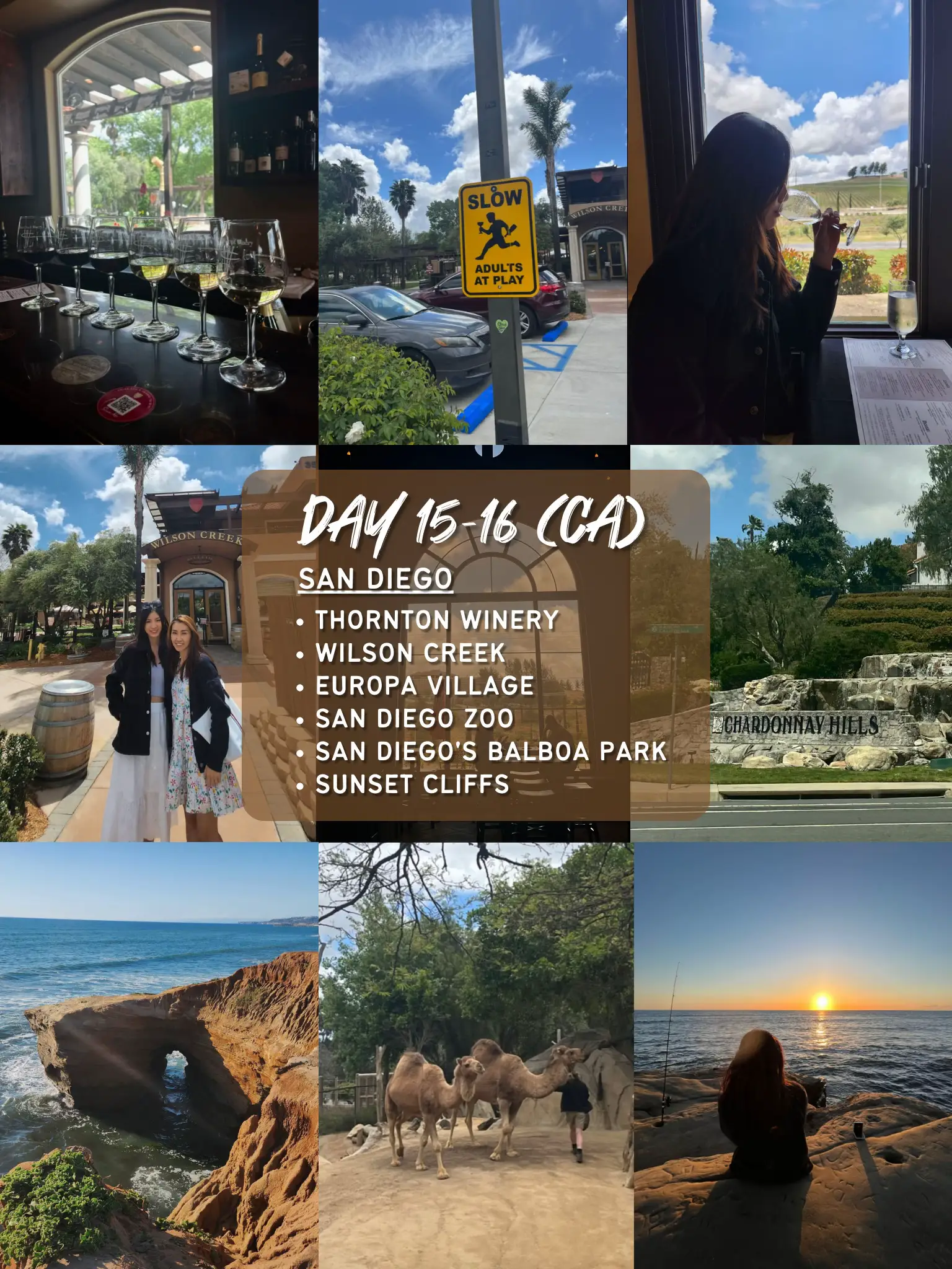 11 Cities, 3 States In 18 Days | 🇺🇸 FULL Itinerary 's images(7)