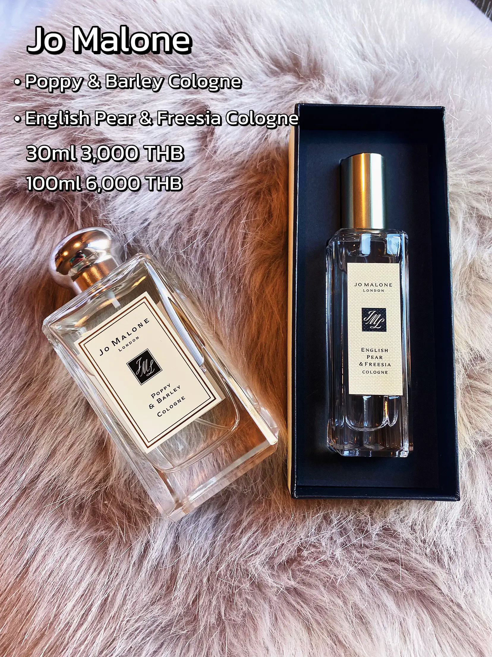 My favorite perfumes 🎀 open the perfume dungeon, please smell the baby