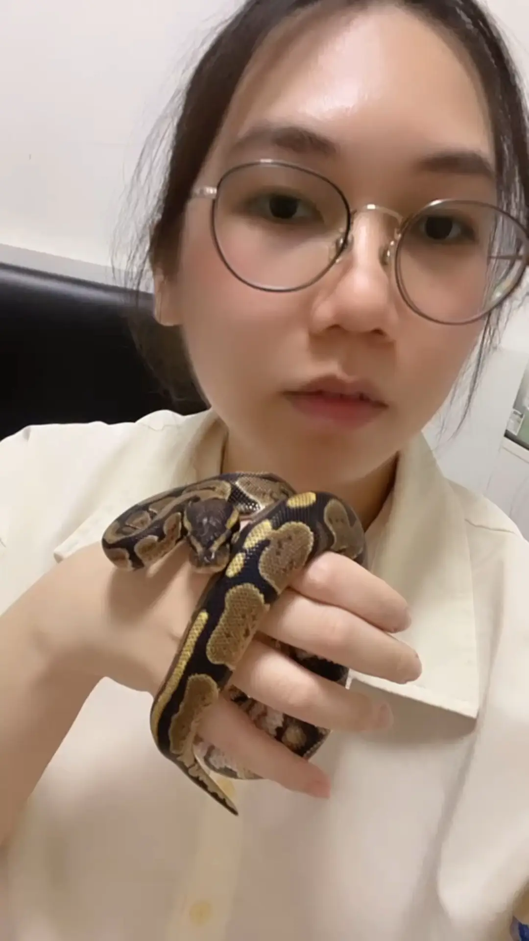 ✨蛇飼いは蛇に噛まれることを恐れていない!? 🐍 | Pearl 🍒の投稿動画 | Lemon8