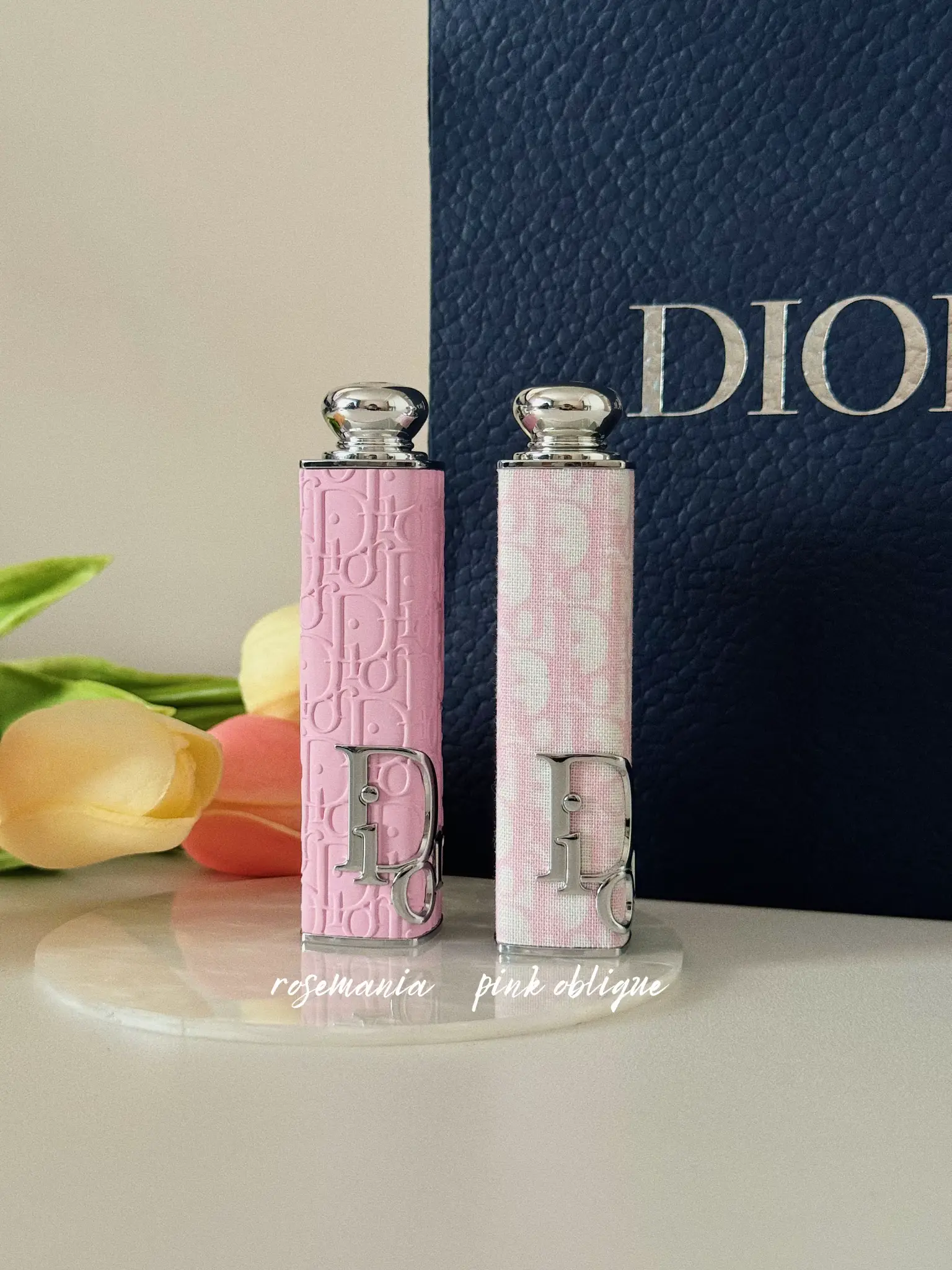 Dior lipstick case cheapest