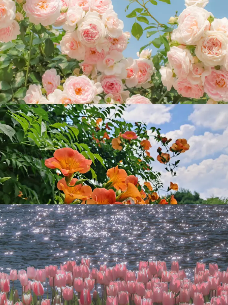 Grafolio Wallpaper - การค้นหาใน Lemon8