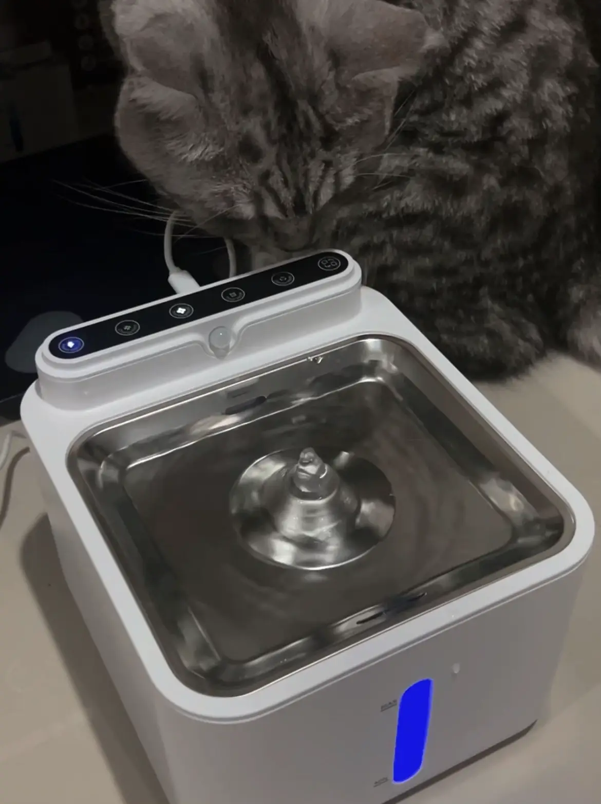 Round Pet Water Fountain Automatic Circulation Cat Water - Temu