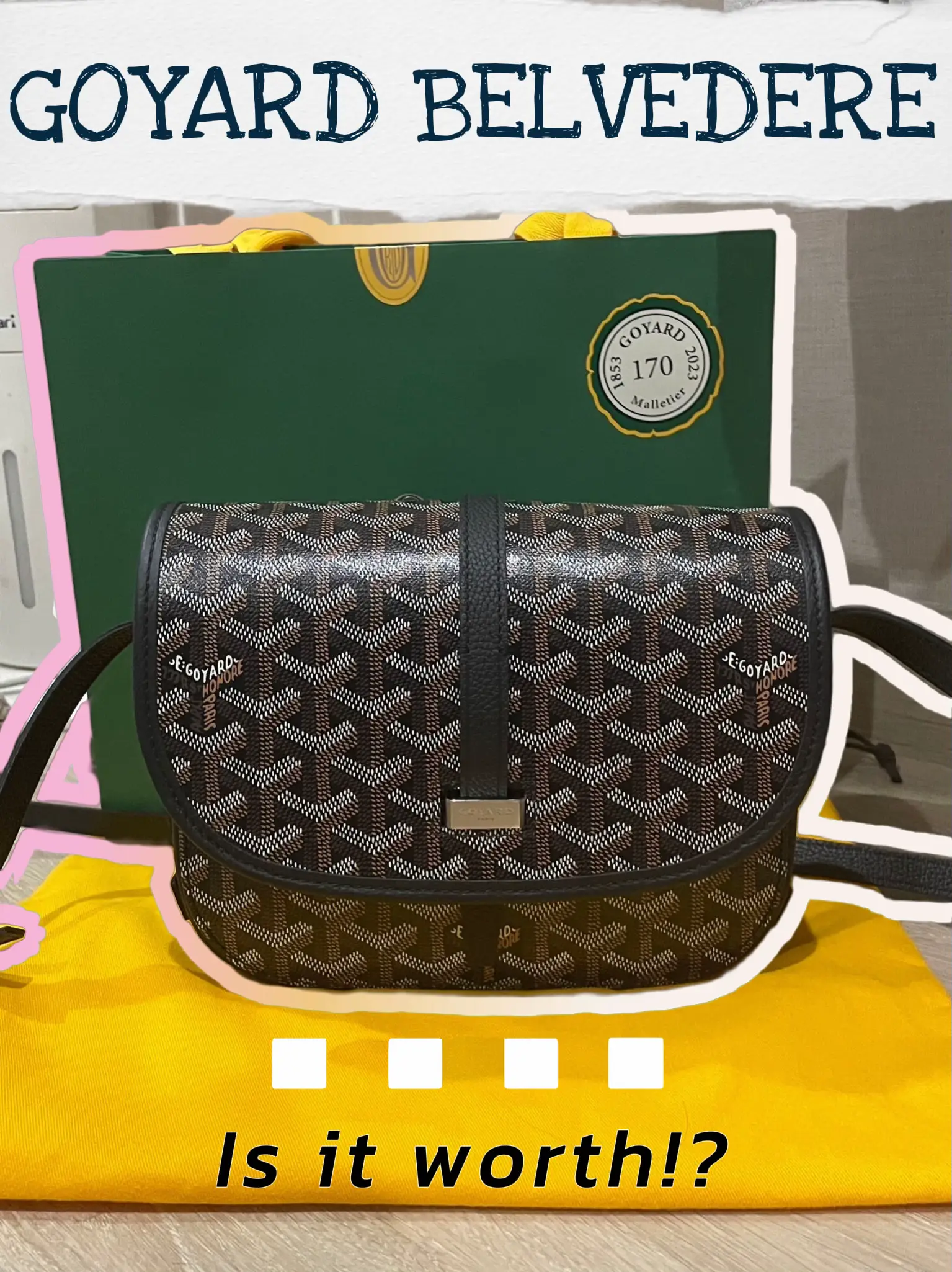 GOYARD BELVEDERE PM II BLACK IN-DEPTH REVIEW 