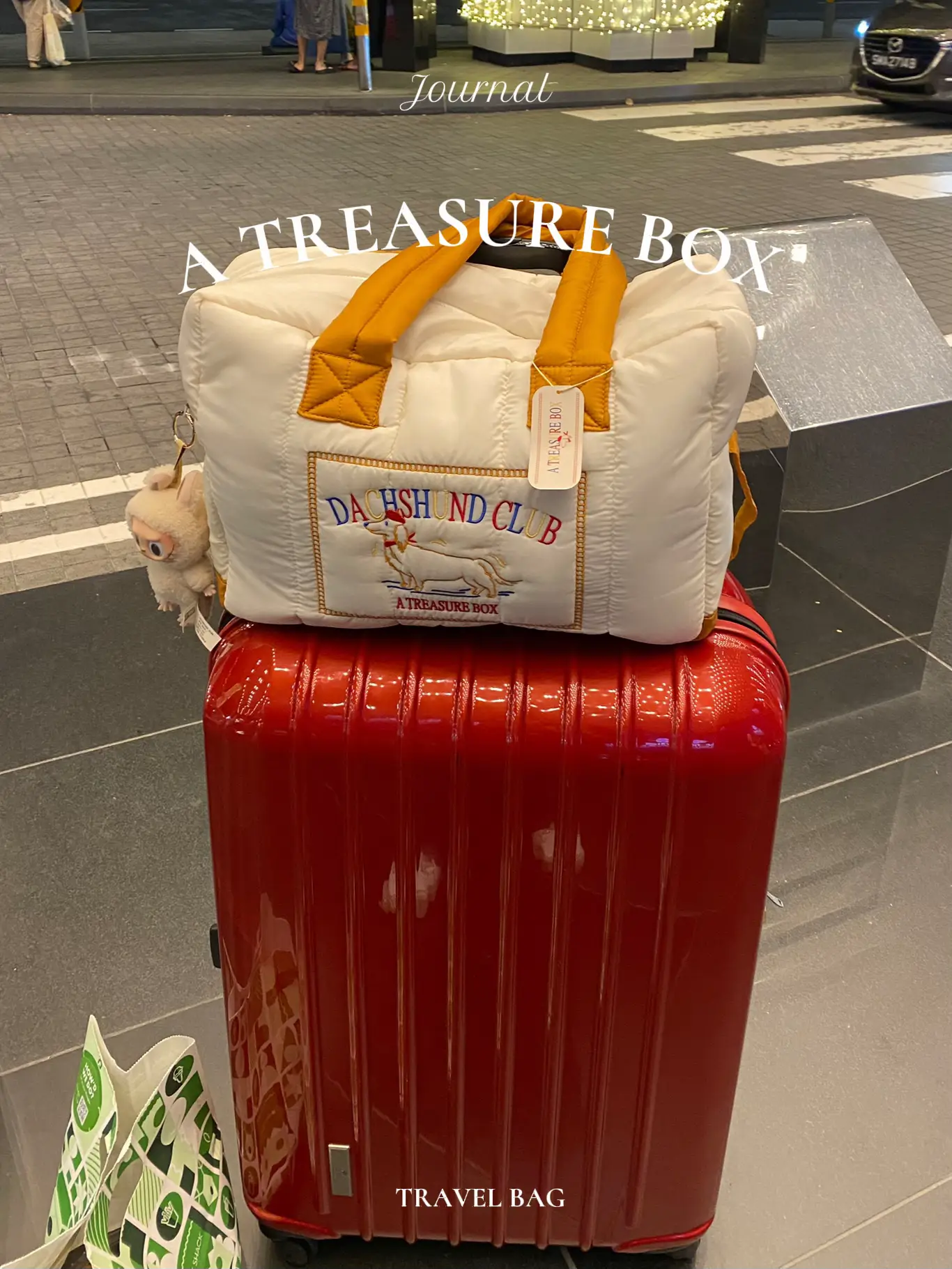 A TREASURE BOX กระเป๋าสำหรับคนชอบเที่ยว ต้องมี! 🐶 แกลเลอรีที่โพสต์โดย