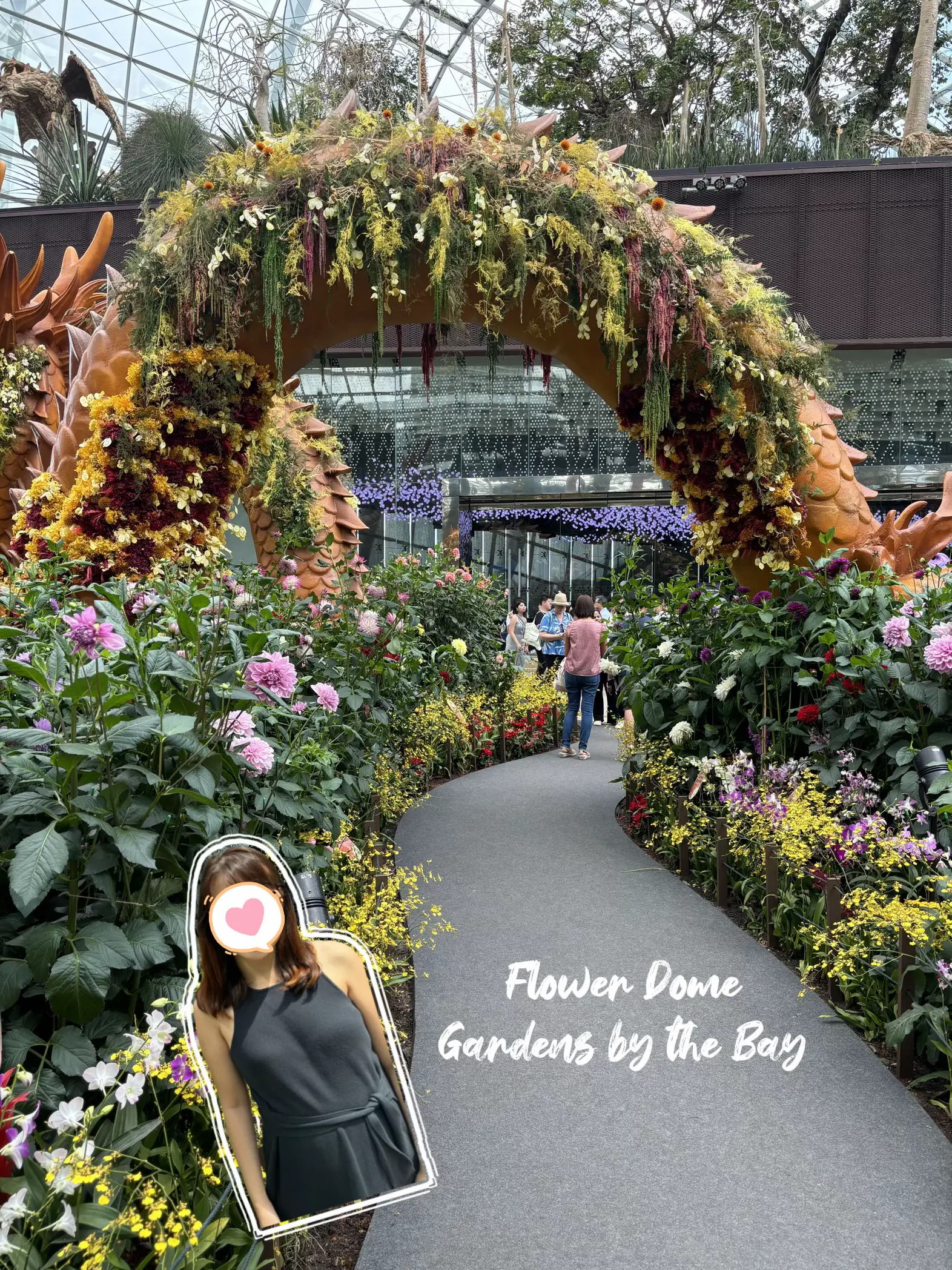 Flower Dome - Gardens by the Bay's images