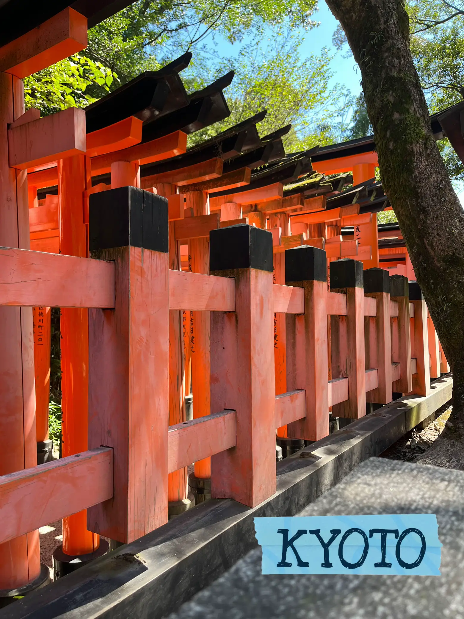 12 Days Japan Trip Budget Friendly Trip Gallery Posted By Lemon1010 12 days japan trip budget friendly trip gallery posted by lemon1010