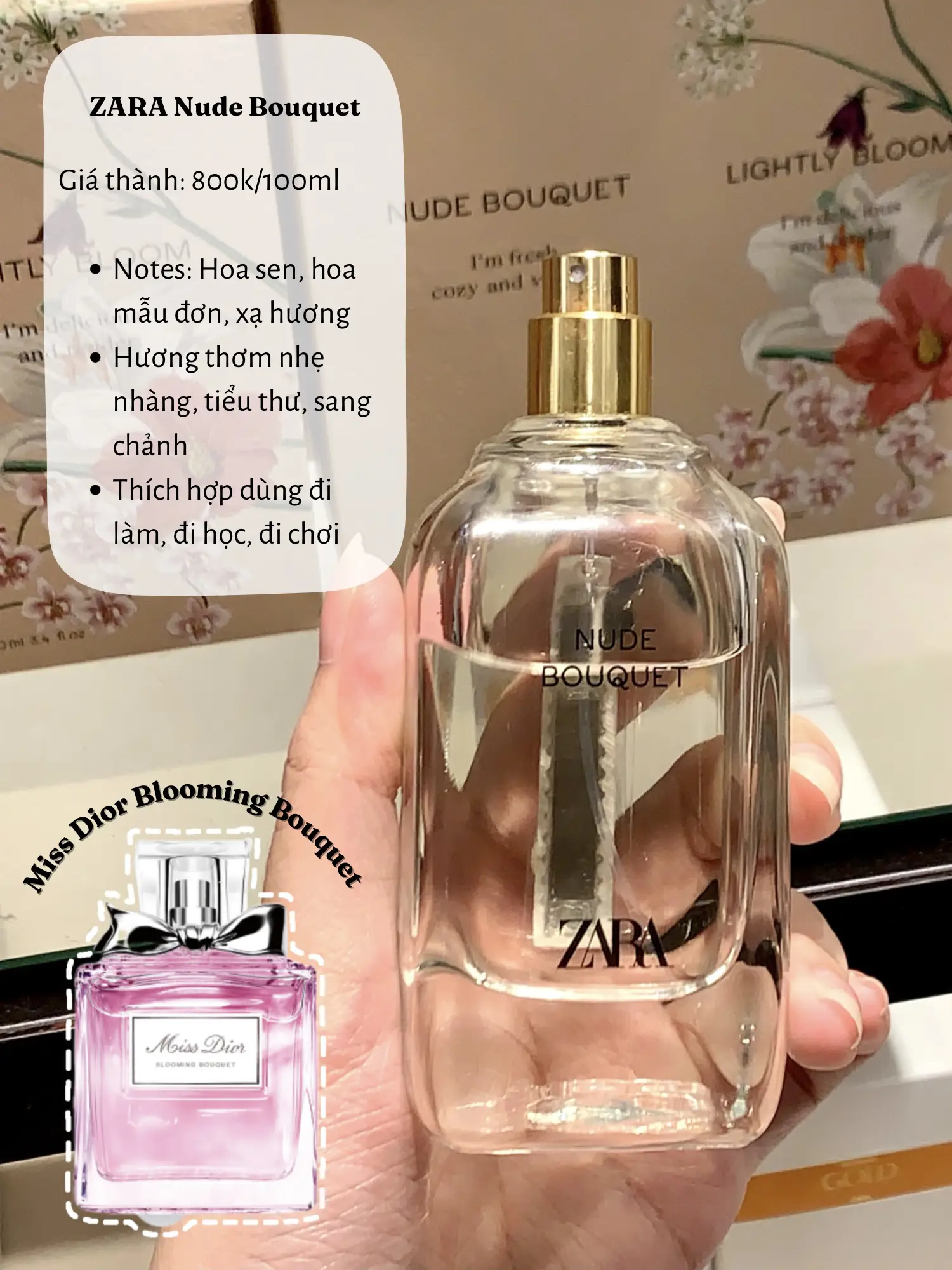 Điểm danh các lọ nước hoa Zara dupe | Bộ sưu tập do Phương Anh đăng ...