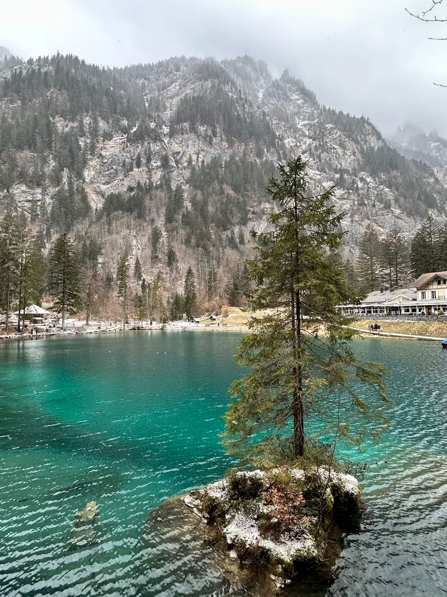 Lake Blausee Switzerland🇨🇭 | Gallery posted by wn | Lemon8