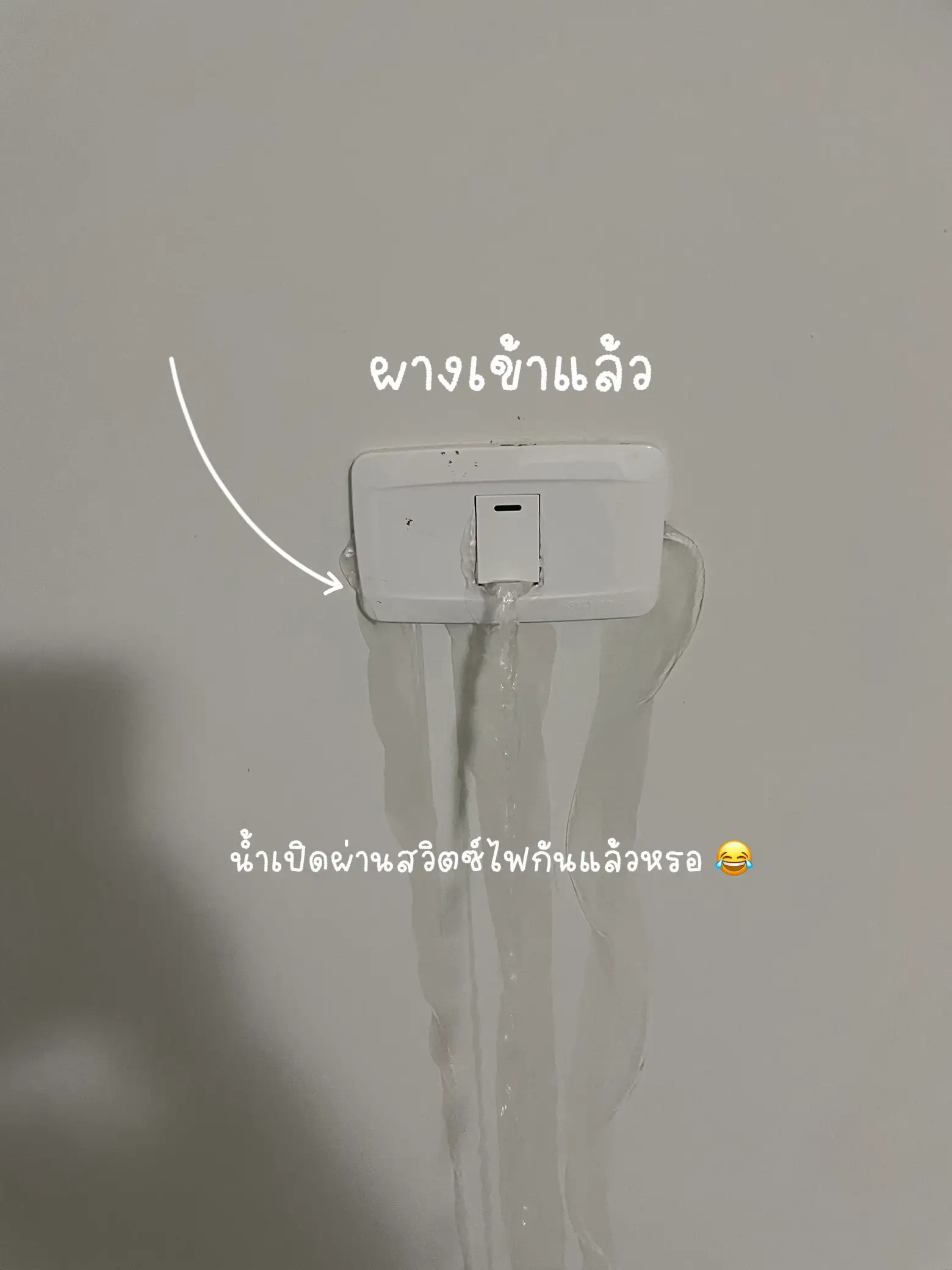 โครงการ Future Leader Program Flp บริษัท Makro X Lotus - การค้นหาใน Lemon8