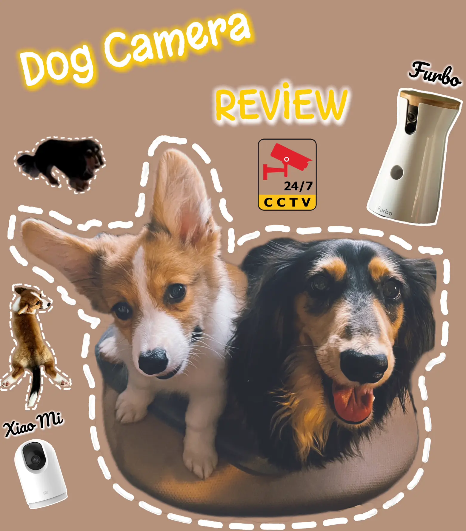 Dog Camera 📷 review 's images(0)