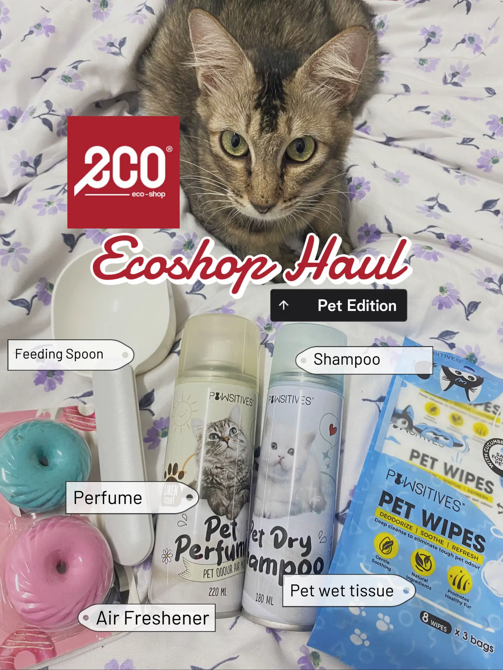 20 ide St. Paul hardware store with pet supplies teratas di 2024