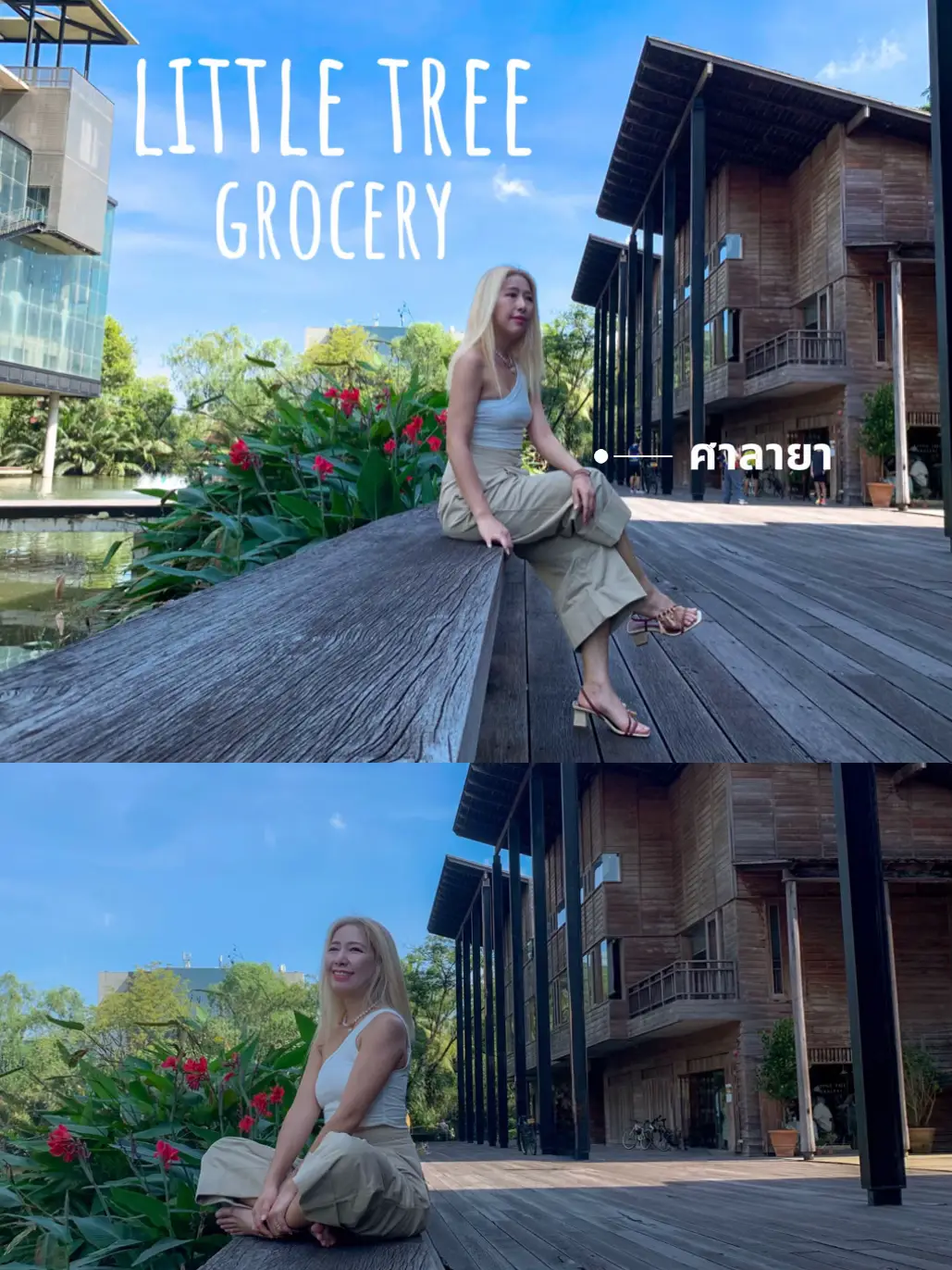 คาเฟ่เปิดใหม่ มู้ดดี้ดี ใน ม.มหิดล “Little tree grocery” | แกลเลอรีที่ ...