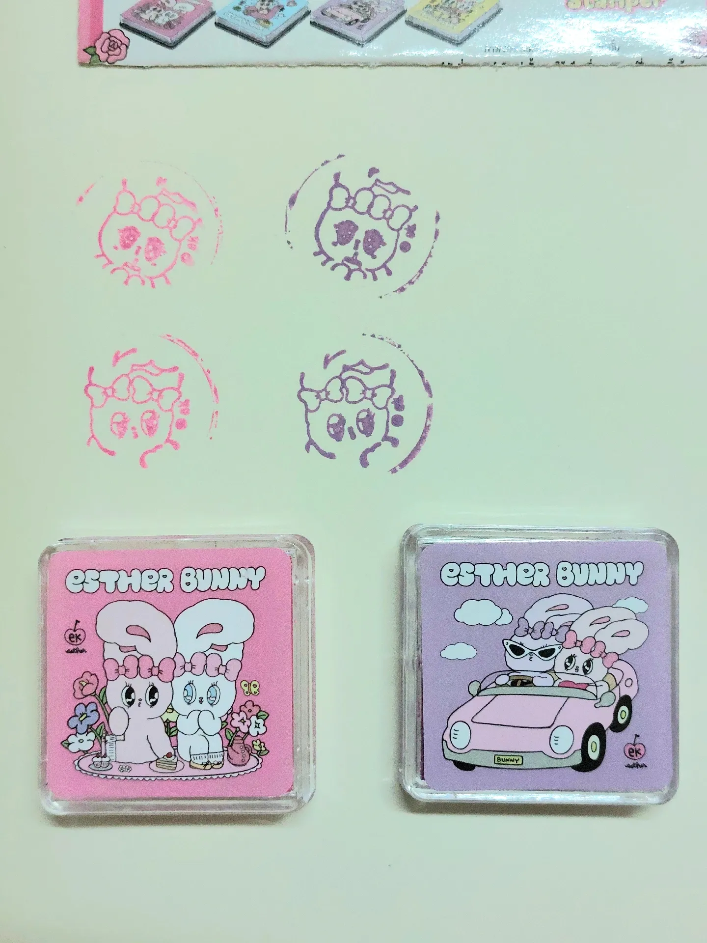 私のエスターバニー🌷💕 | 🐰∗🐈が投稿したフォトブック | Lemon8