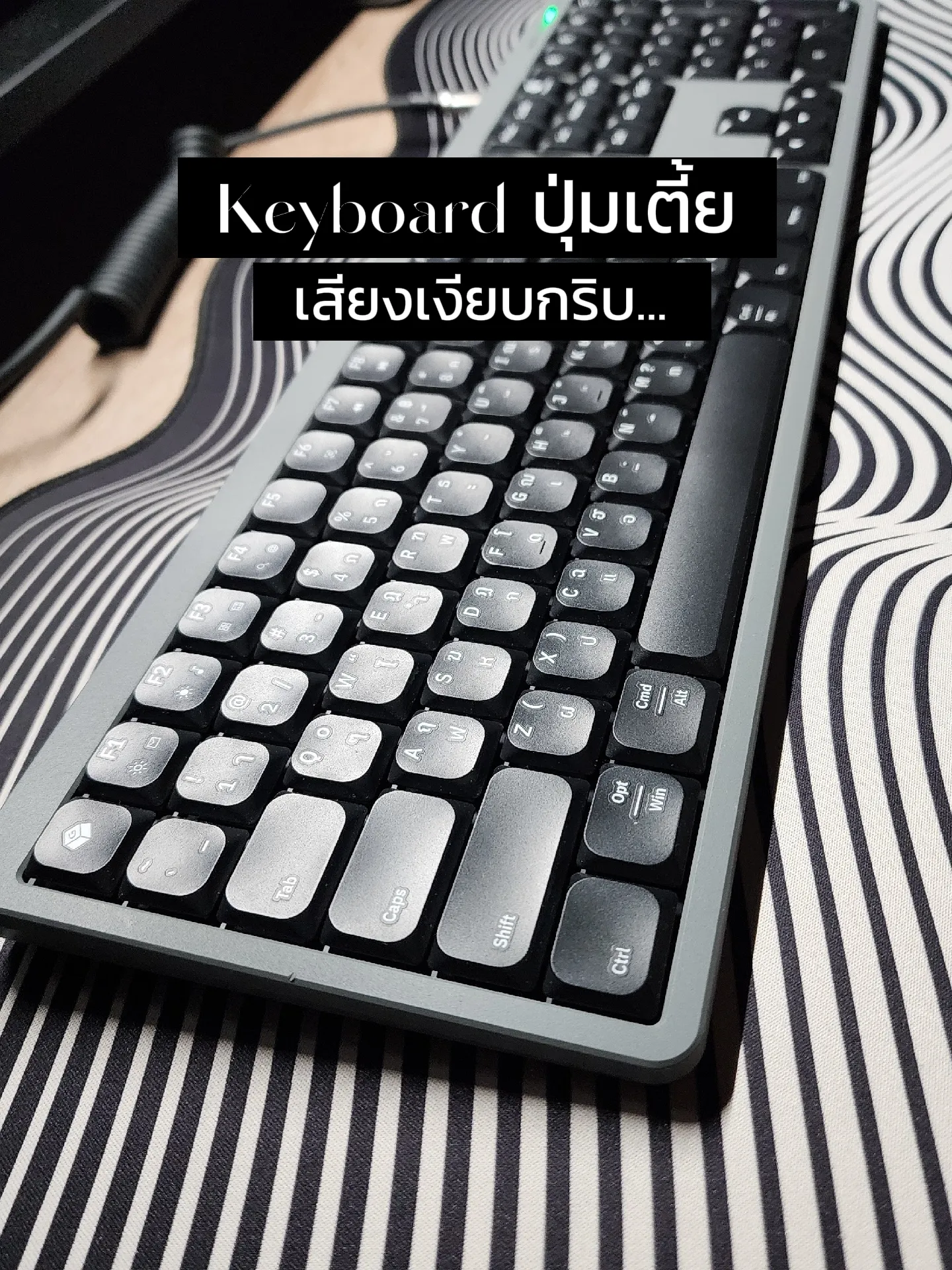 Keyboard ปุ่มเตี้ยเสียงเงียบๆ | แกลเลอรีที่โพสต์โดย 🪴TheMong | ⌨️ | Lemon8