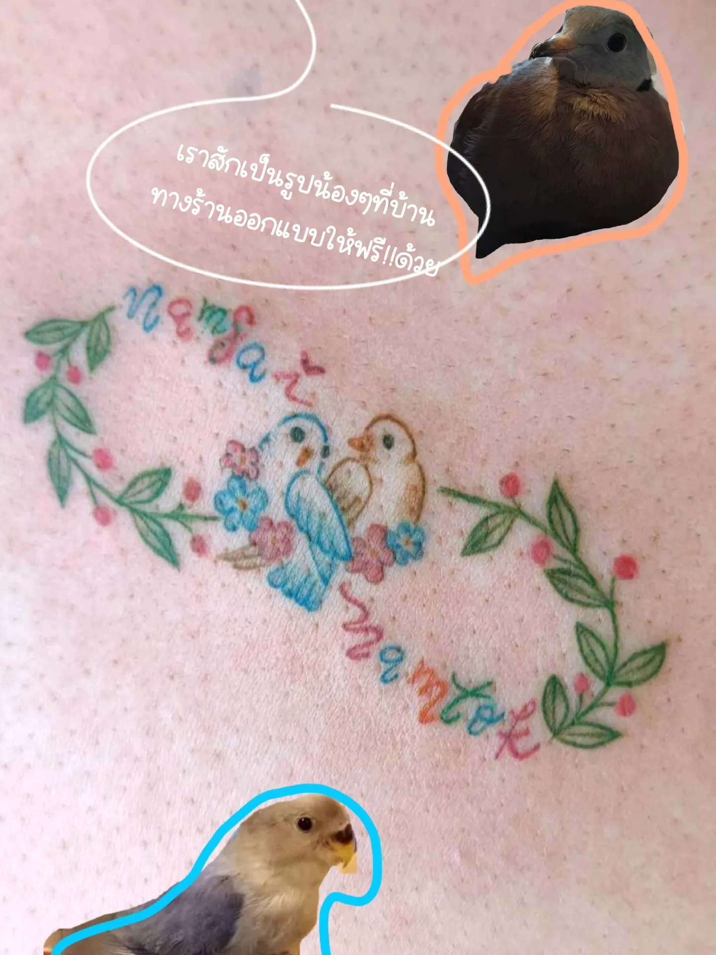 20 ไอเดียยอดนิยมเกี่ยวกับ Tattoo รูปcentaur ในปี 2024