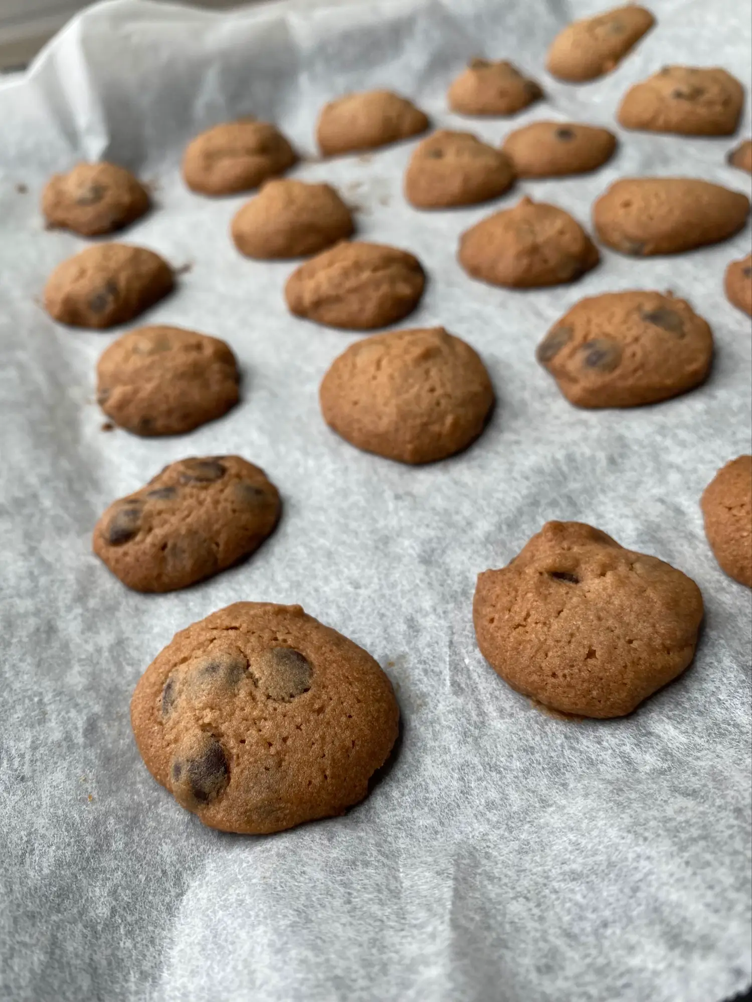 Our order form is fresh out from the oven! 🍪 Gallery posted by j