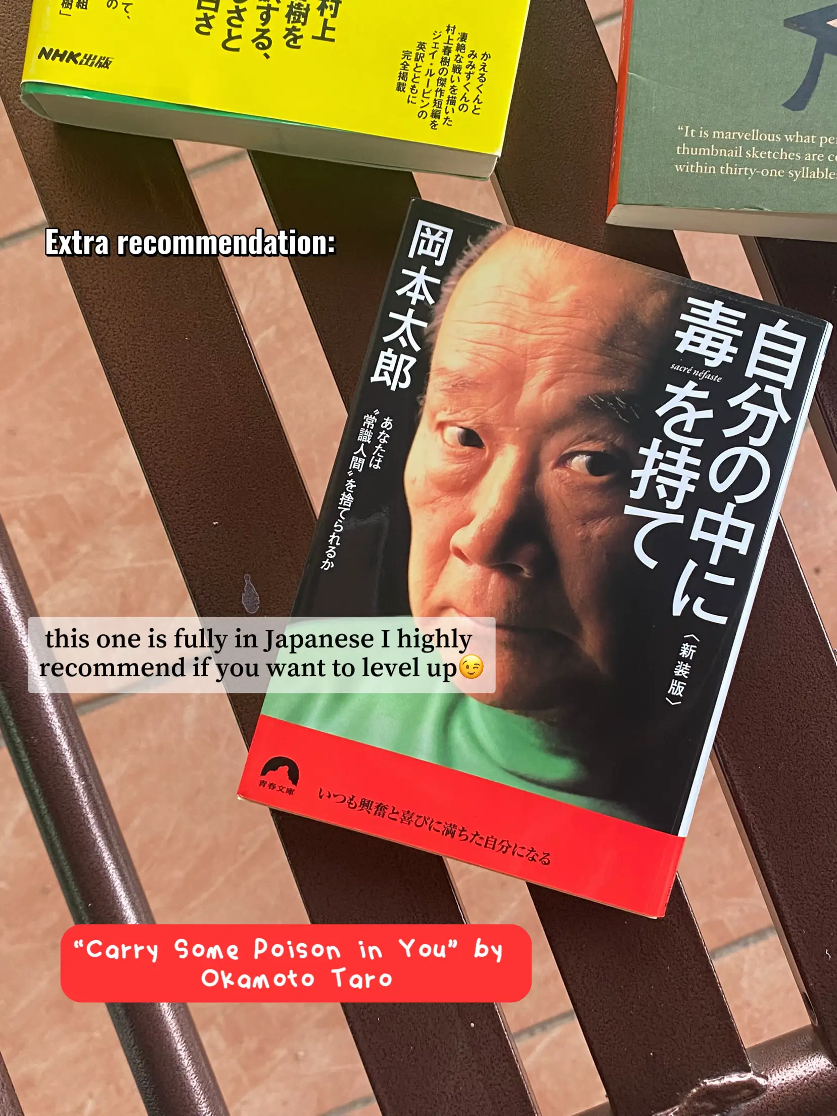 Should you use Bilingual Books with English and Japanese Side by Side? -  Japanese Level Up