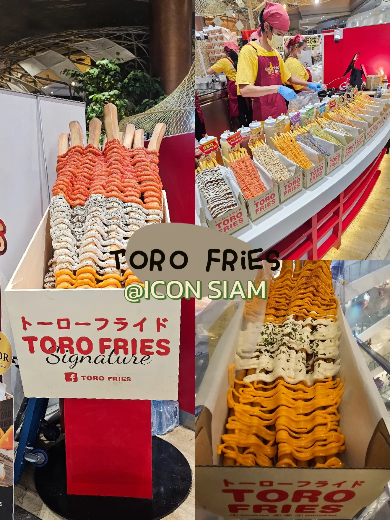TORO FRIES French Fries Topped With A Long Sauce In Feet Gallery toro-fries-french-fries-topped-with-a-long-sauce-in-feet-gallery