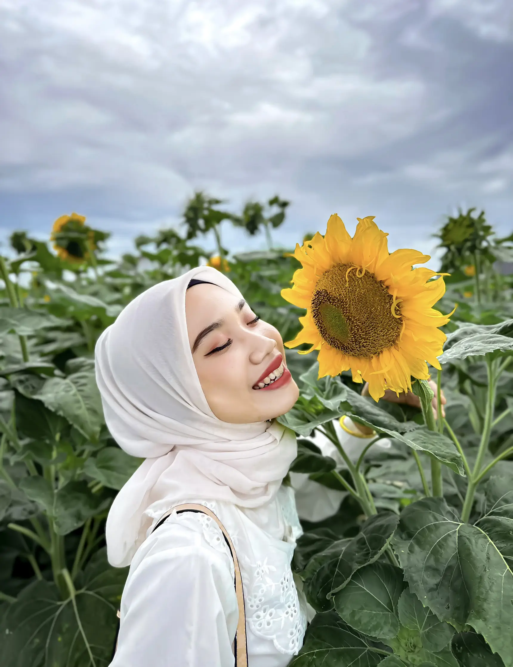 SUNFLOWER GARDEN BAGAN DATOH, PERAK 🌻 Galeri disiarkan oleh